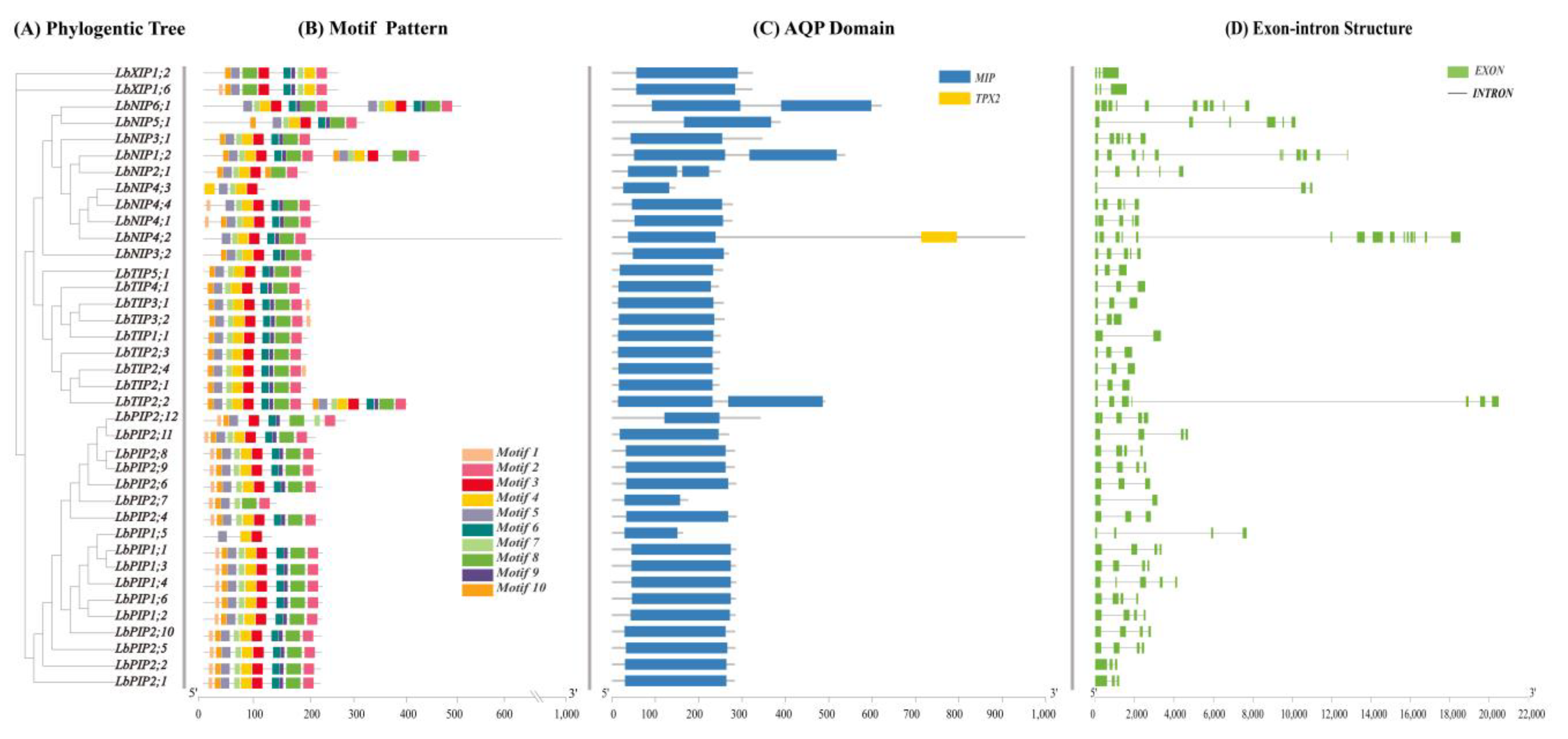 Cimb 44 00404 g003 Cimb 44 00404 g003
