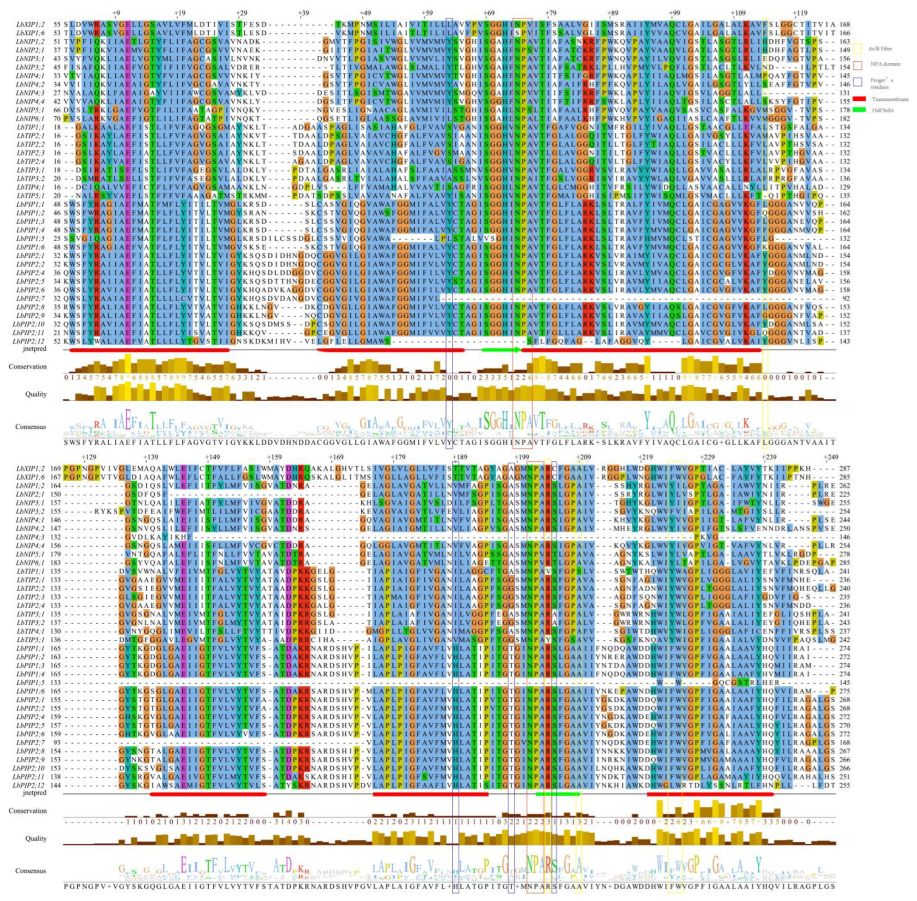 Cimb 44 00404 g004 Cimb 44 00404 g004