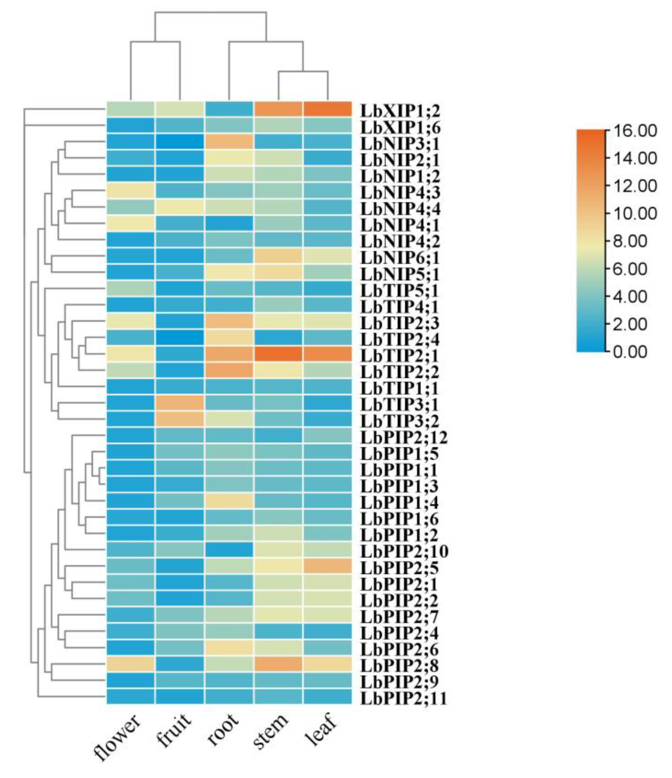 Cimb 44 00404 g006 Cimb 44 00404 g006