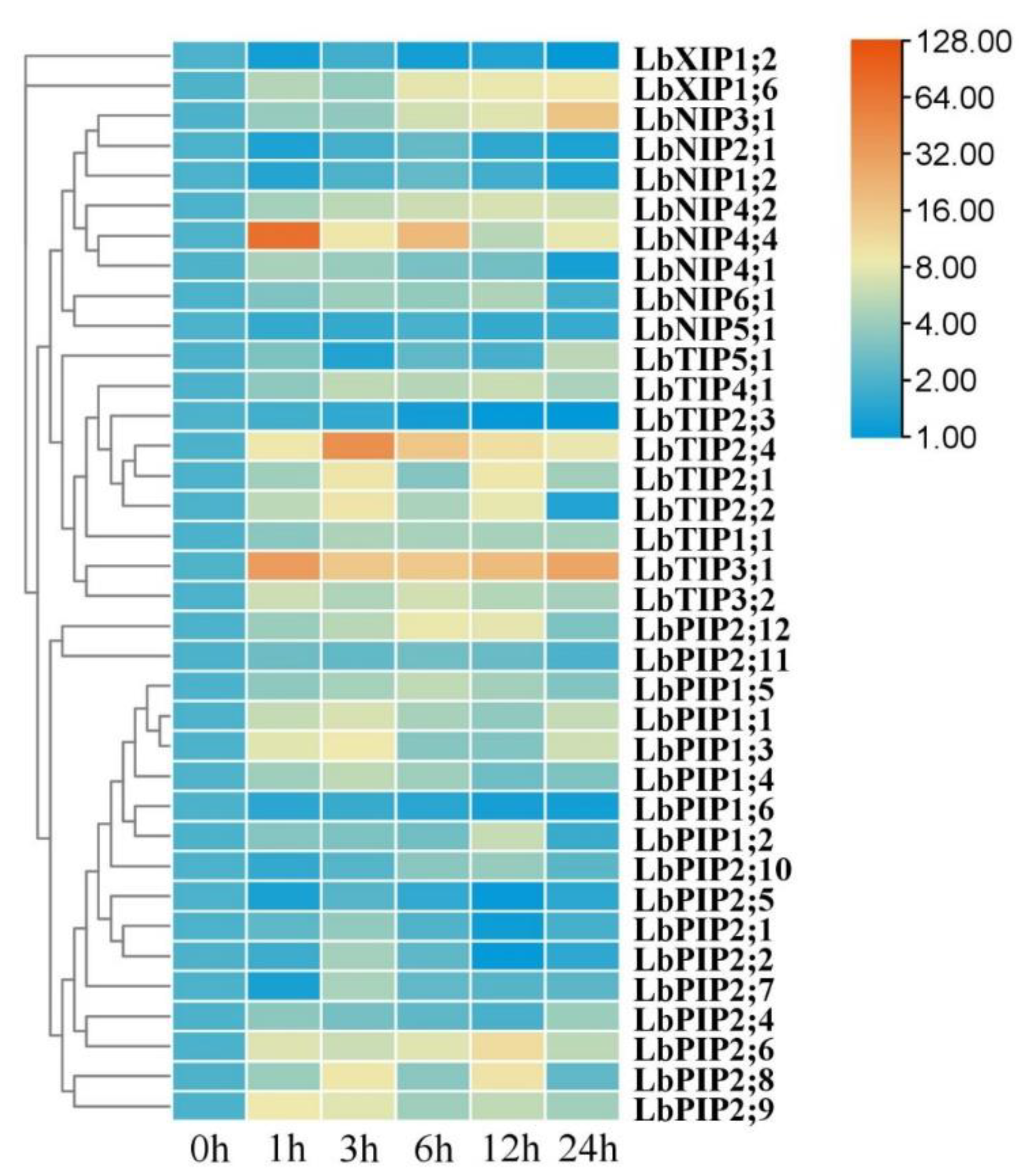 Cimb 44 00404 g008 Cimb 44 00404 g008