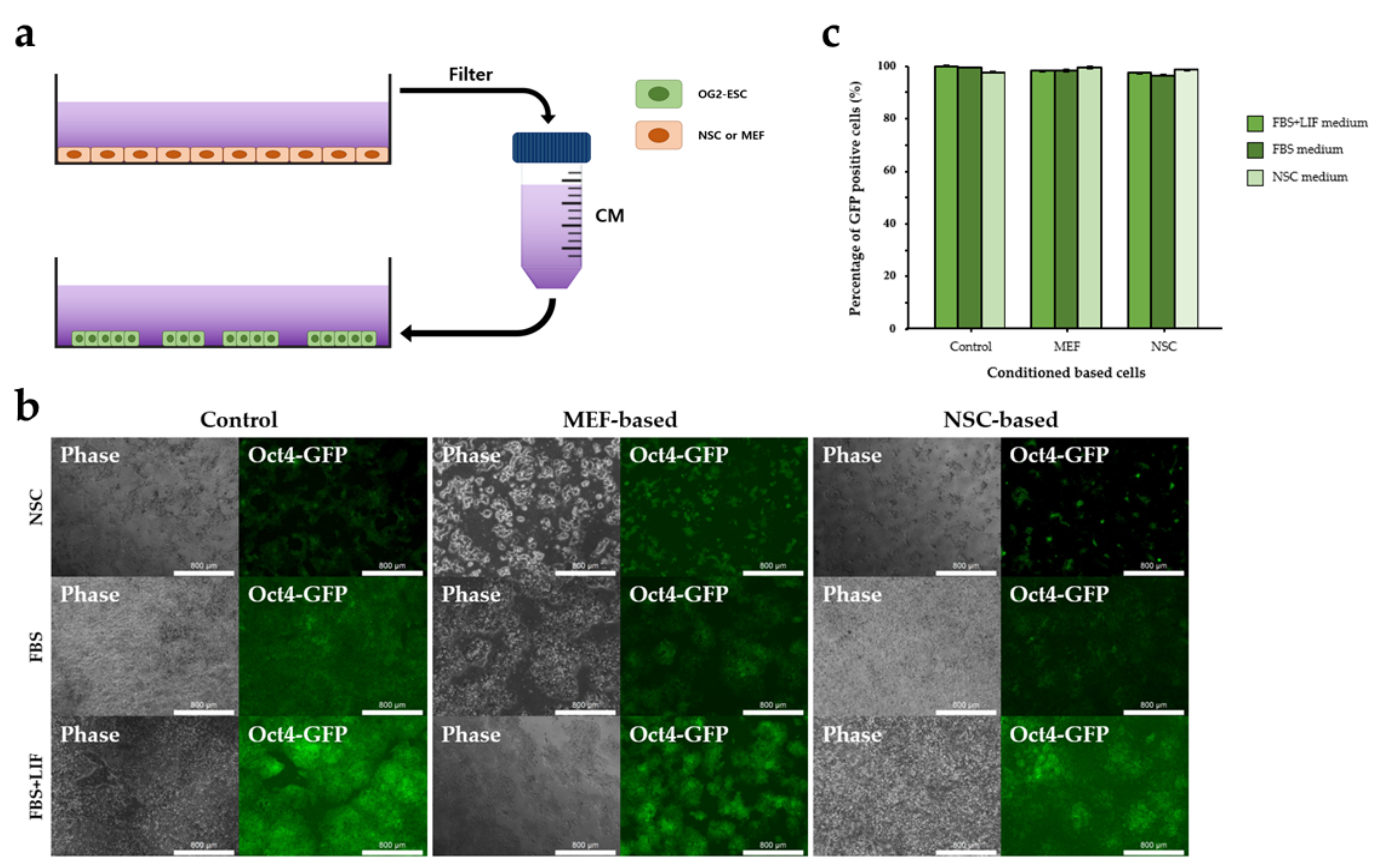 Cimb 44 00416 g002 Cimb 44 00416 g002