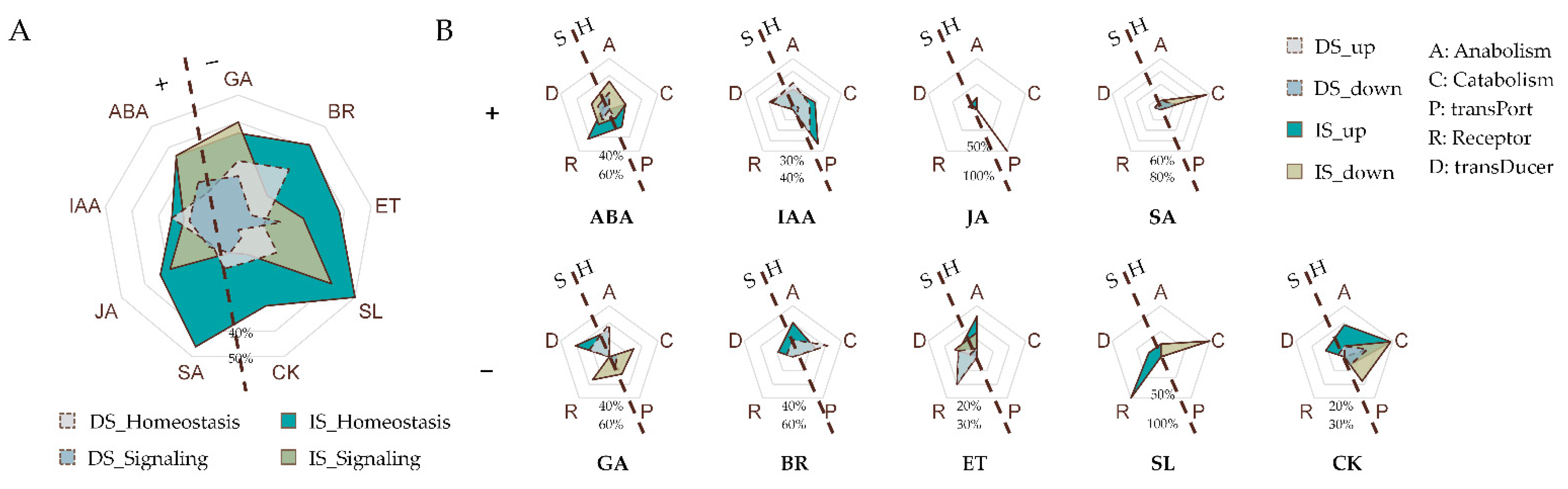 Cimb 44 00423 g004 Cimb 44 00423 g004