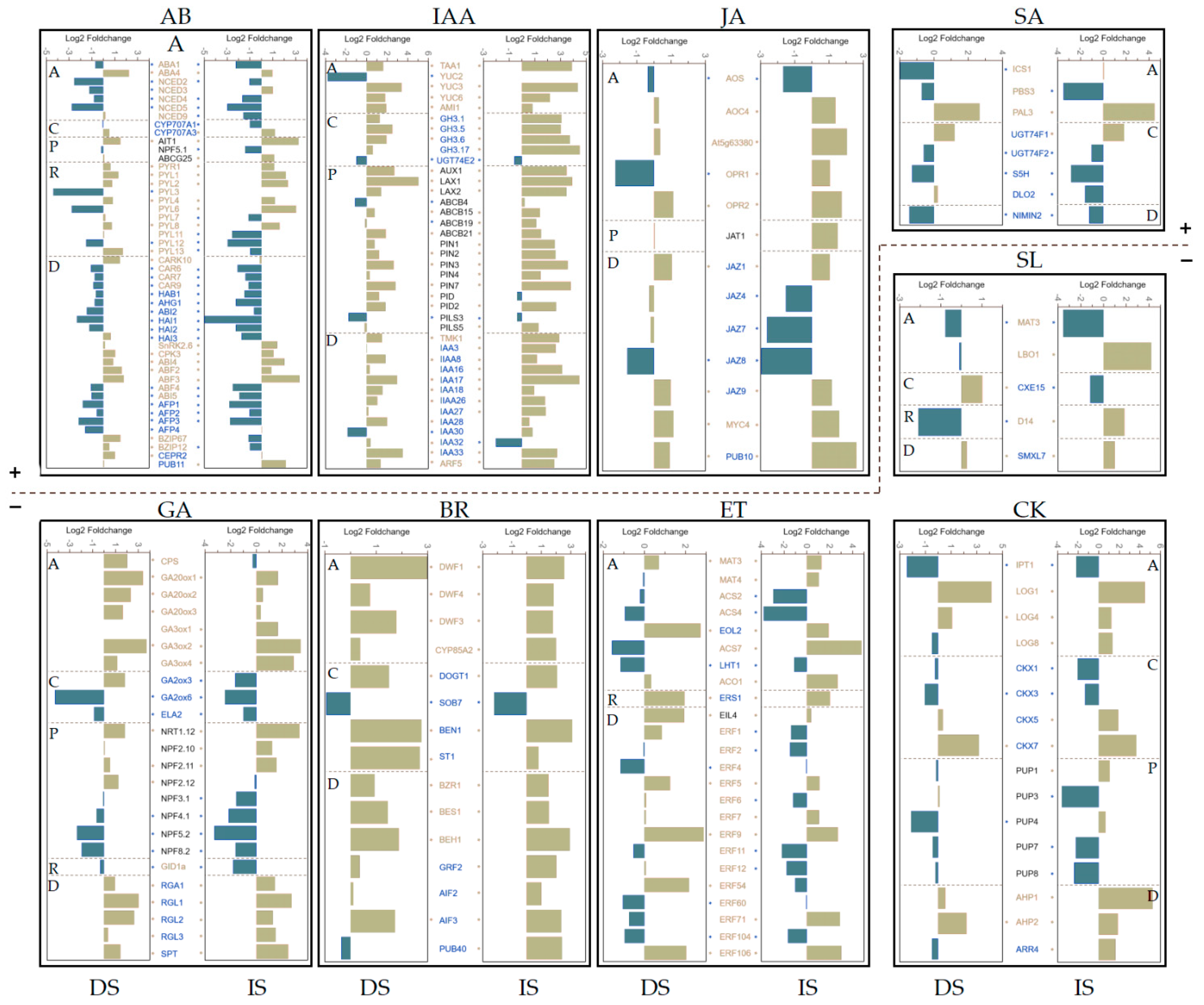 Cimb 44 00423 g005 Cimb 44 00423 g005