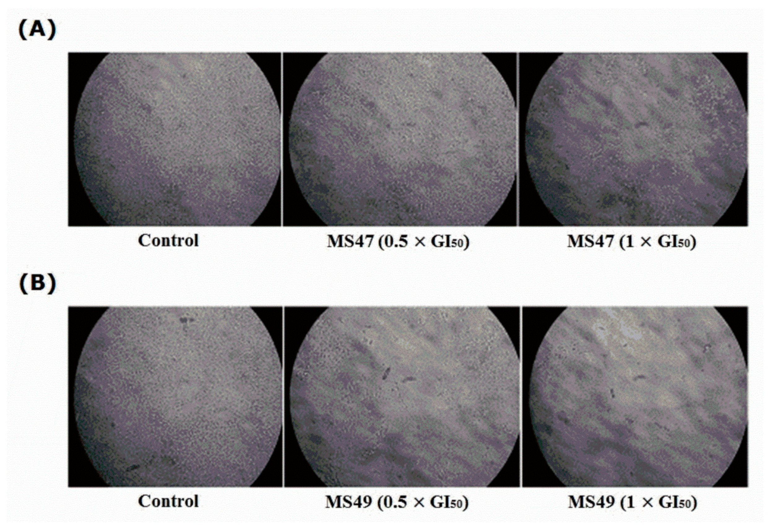 Cimb 45 00014 g009 Cimb 45 00014 g009