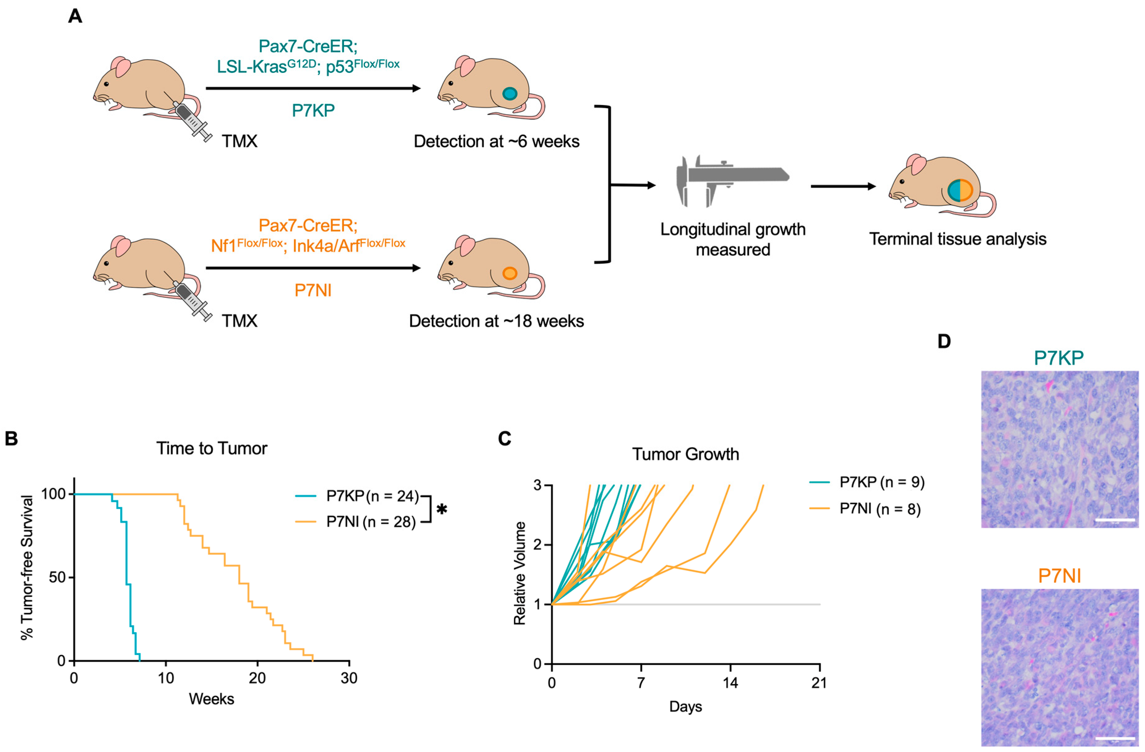 Cimb 45 00080 g001 Cimb 45 00080 g001