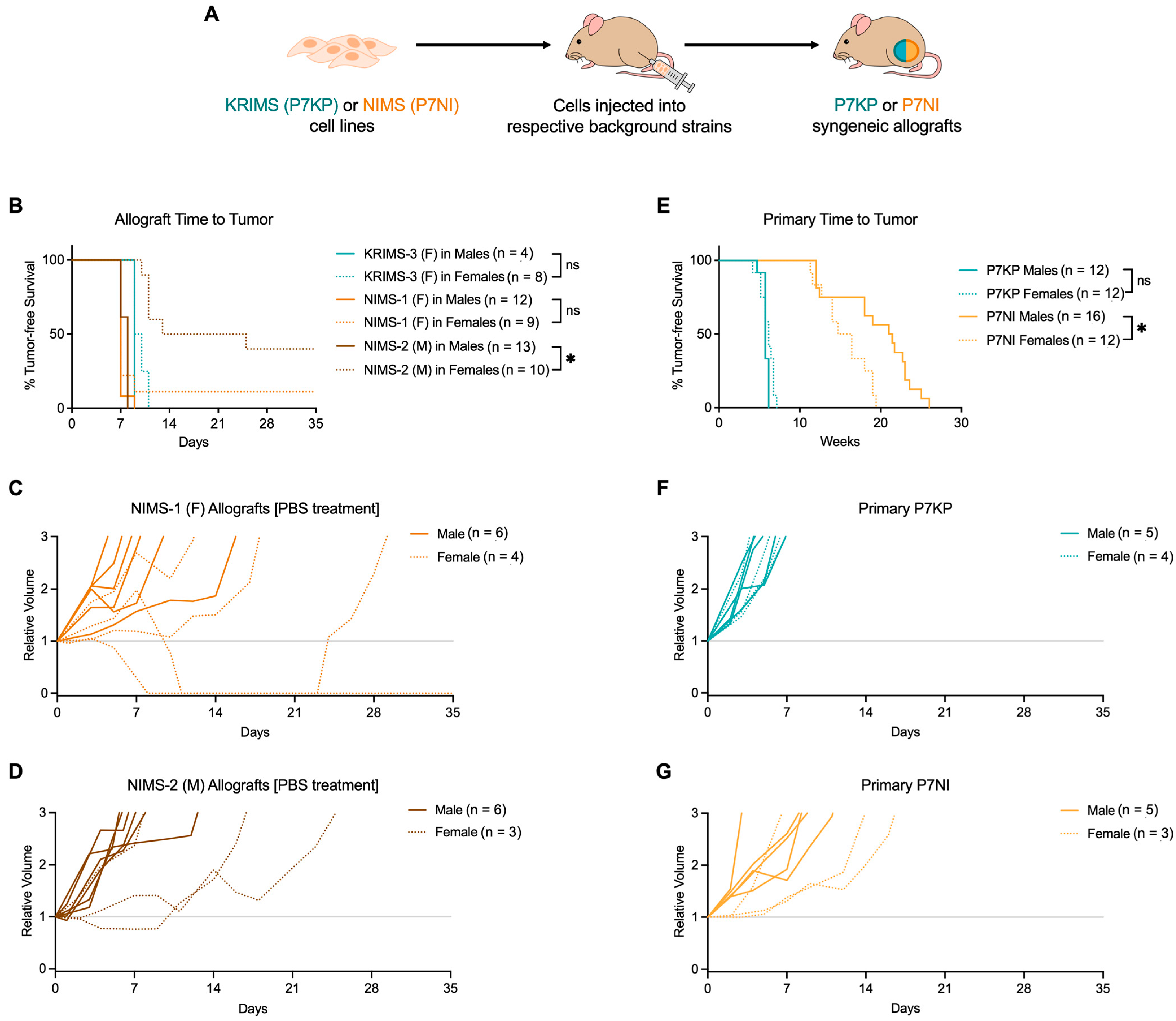 Cimb Free Full Text Loss Of Nf1 And Ink4aarf Are Associated With Sex Dependent Growth 5269