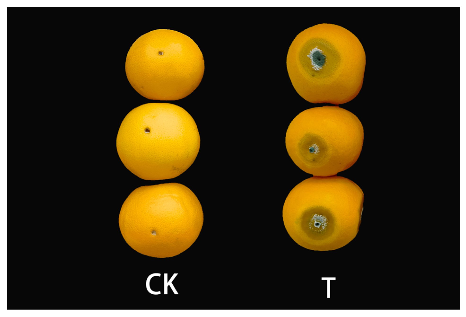 Cimb 45 00082 g001 Cimb 45 00082 g001
