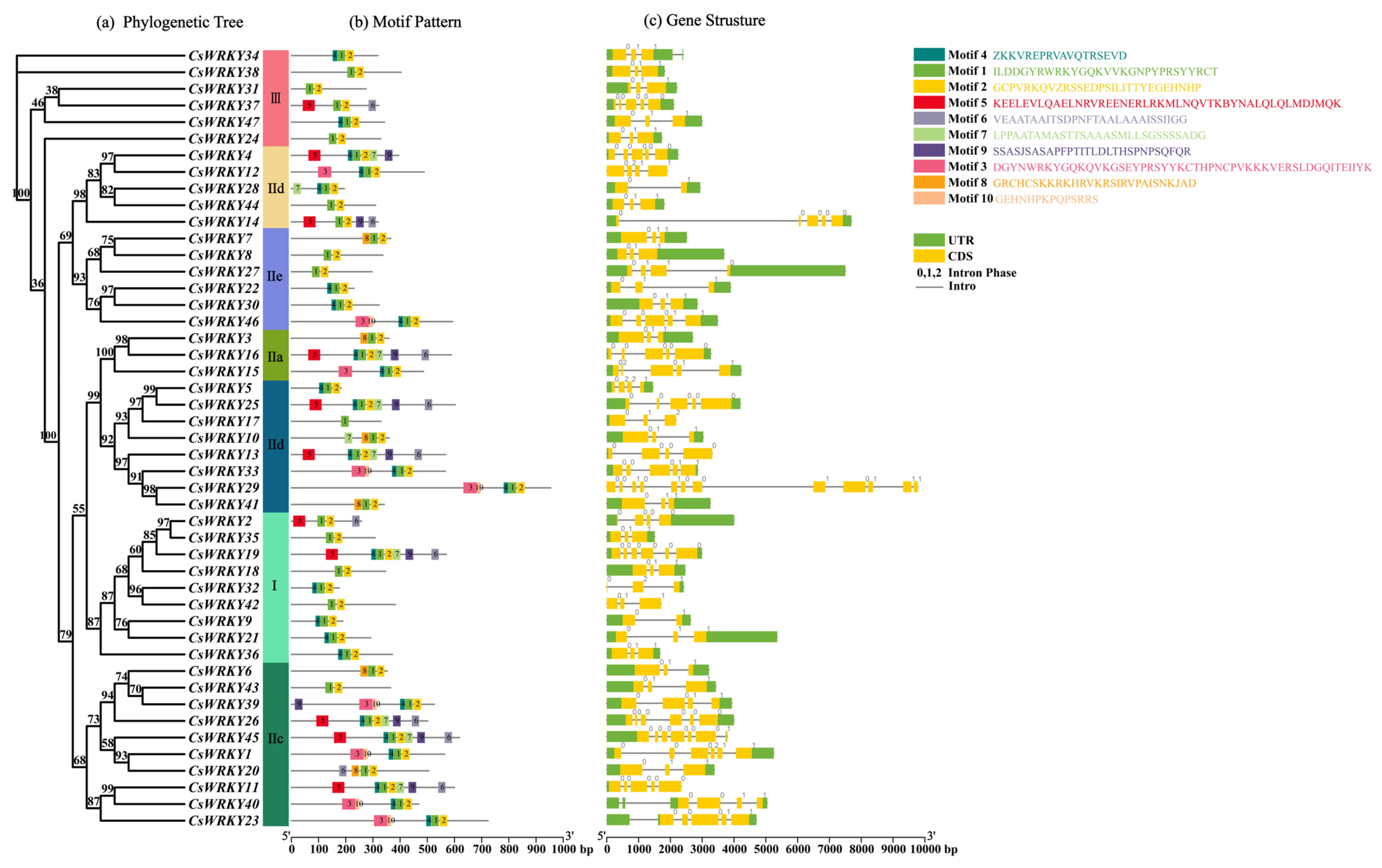 Cimb 45 00082 g004 Cimb 45 00082 g004