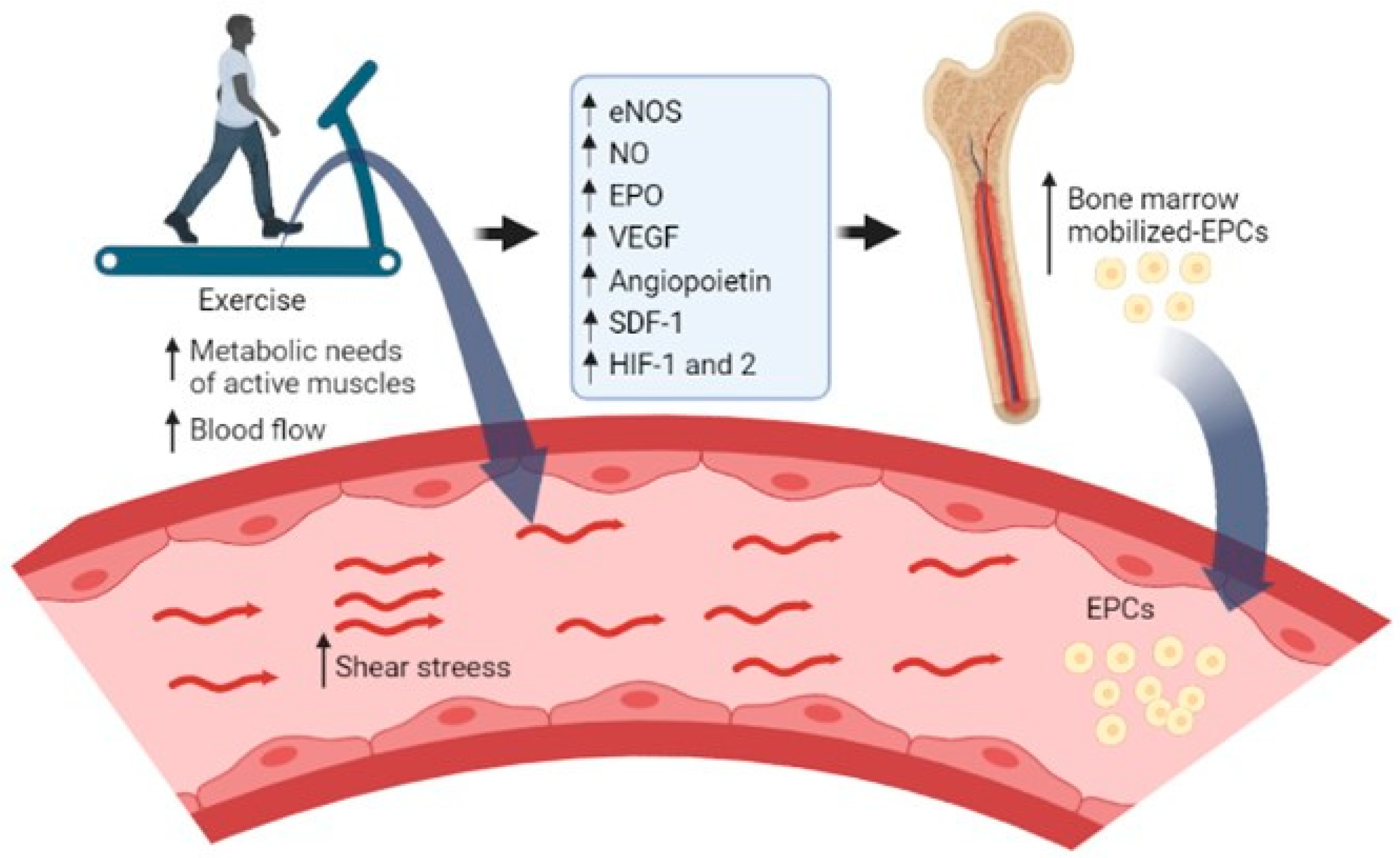 Cimb 45 00125 g002 Cimb 45 00125 g002