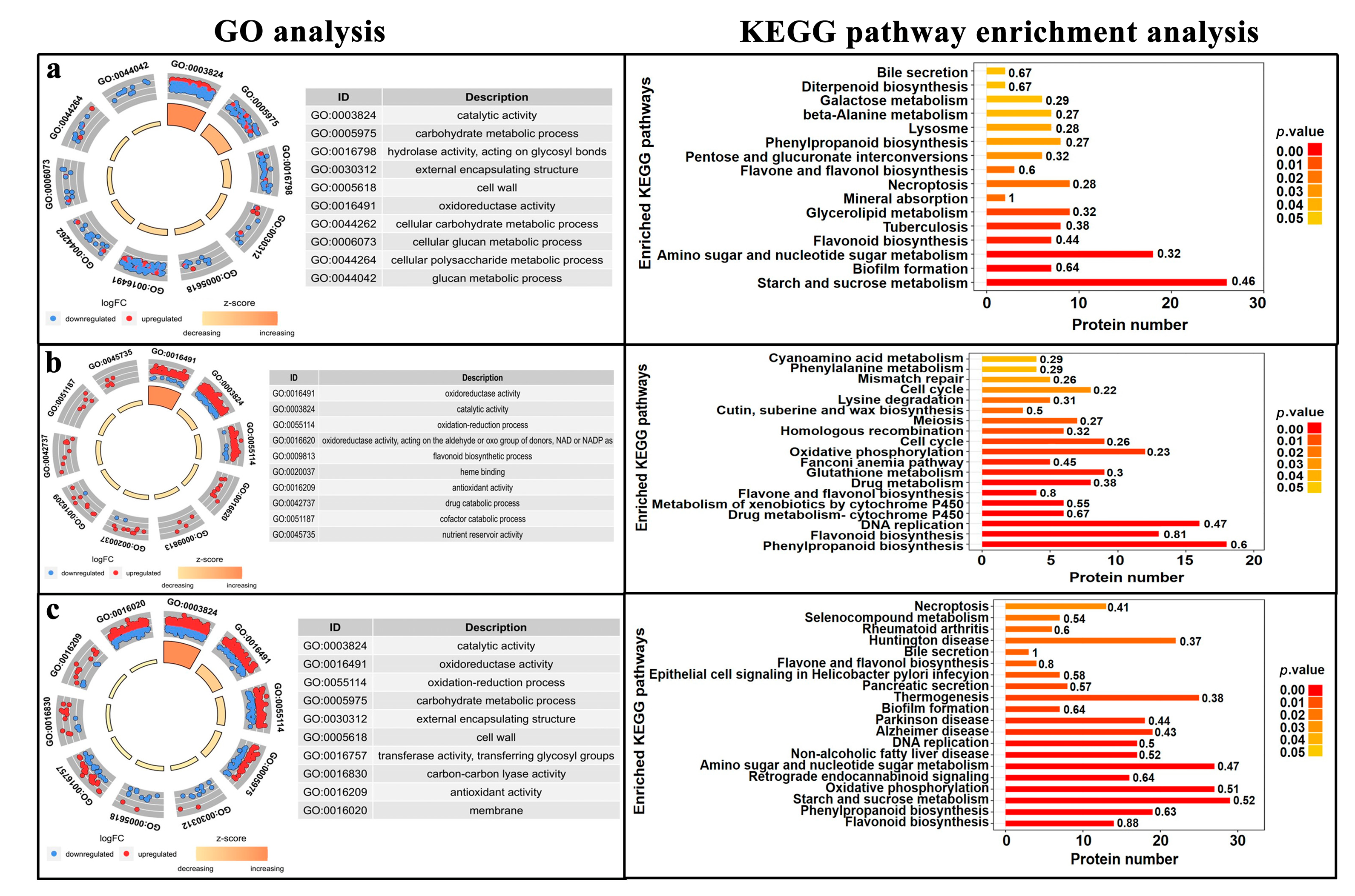 Cimb 45 00130 g002 Cimb 45 00130 g002