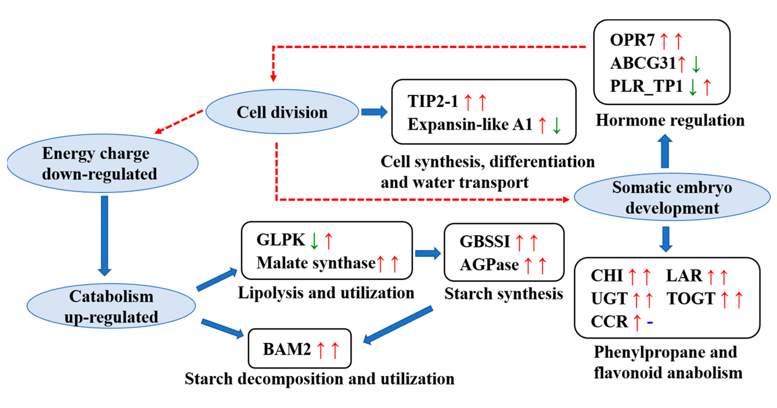 Cimb 45 00130 g006 Cimb 45 00130 g006
