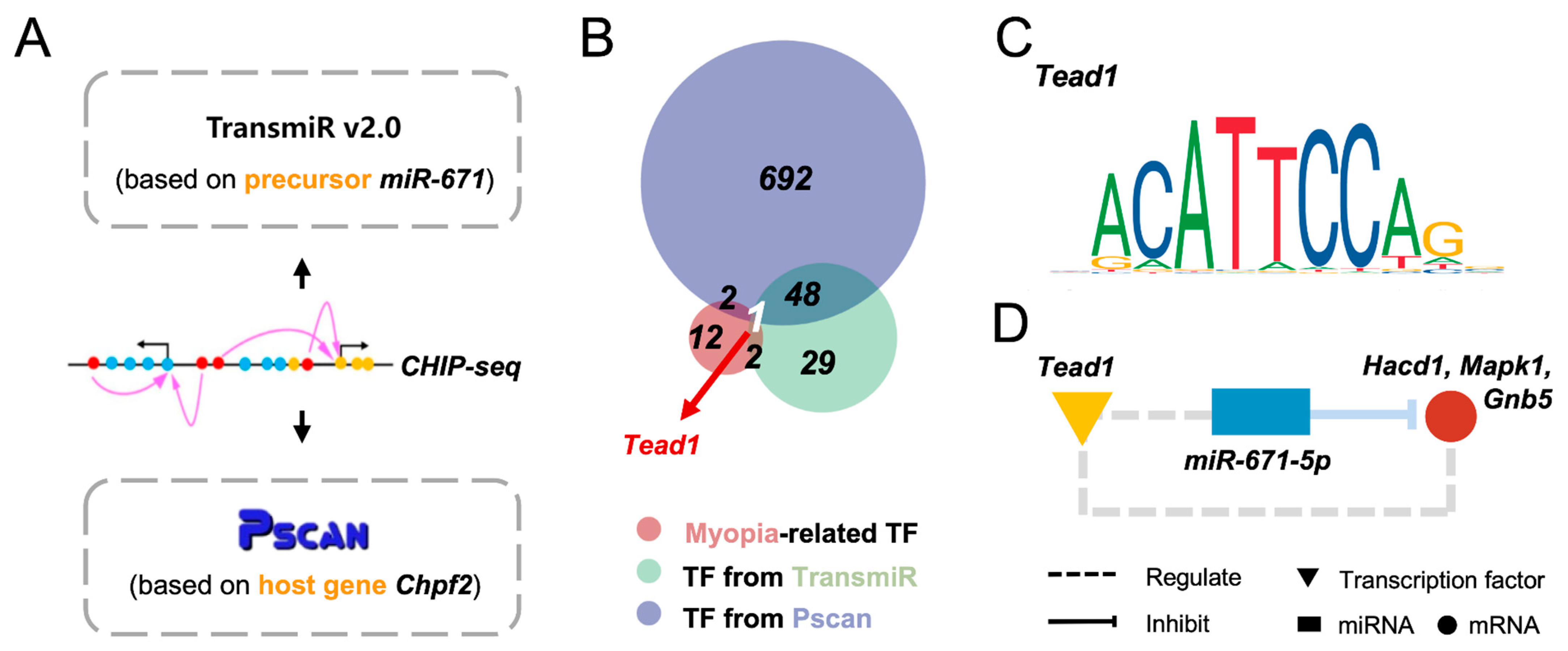 Cimb 45 00132 g004 Cimb 45 00132 g004