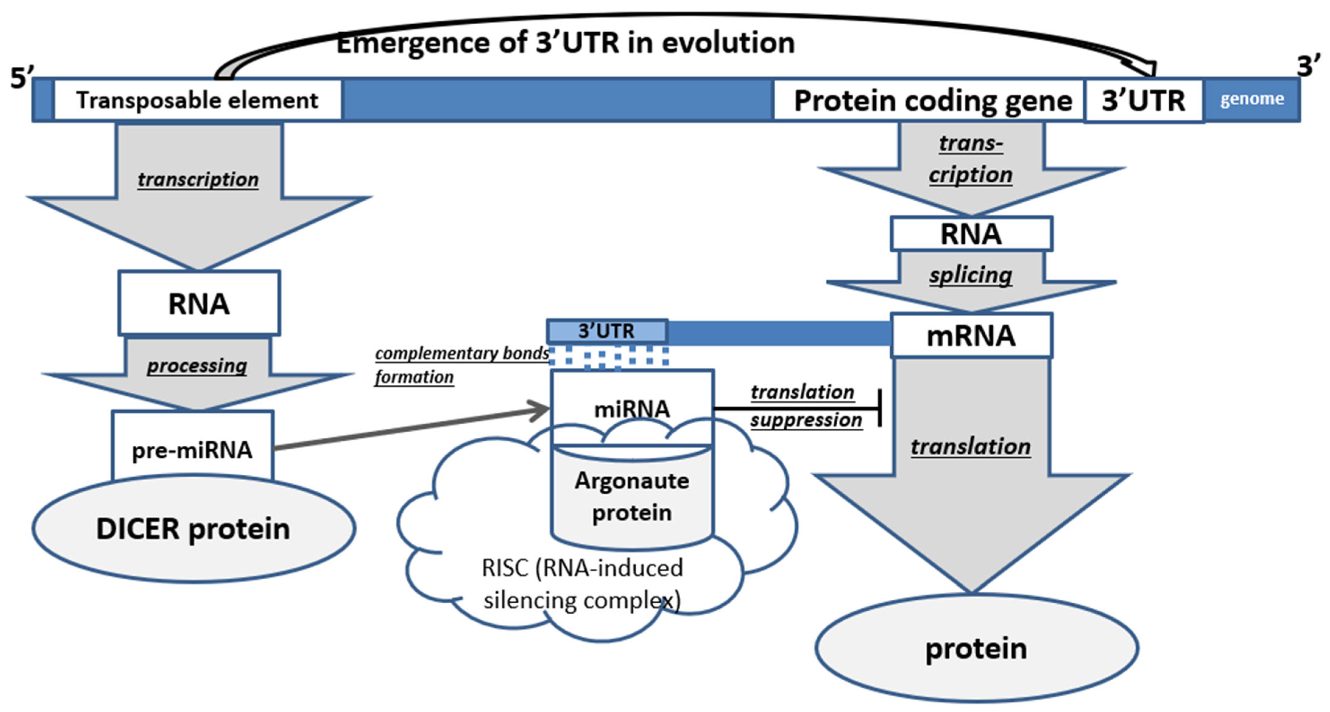 Cimb 45 00204 g002 Cimb 45 00204 g002