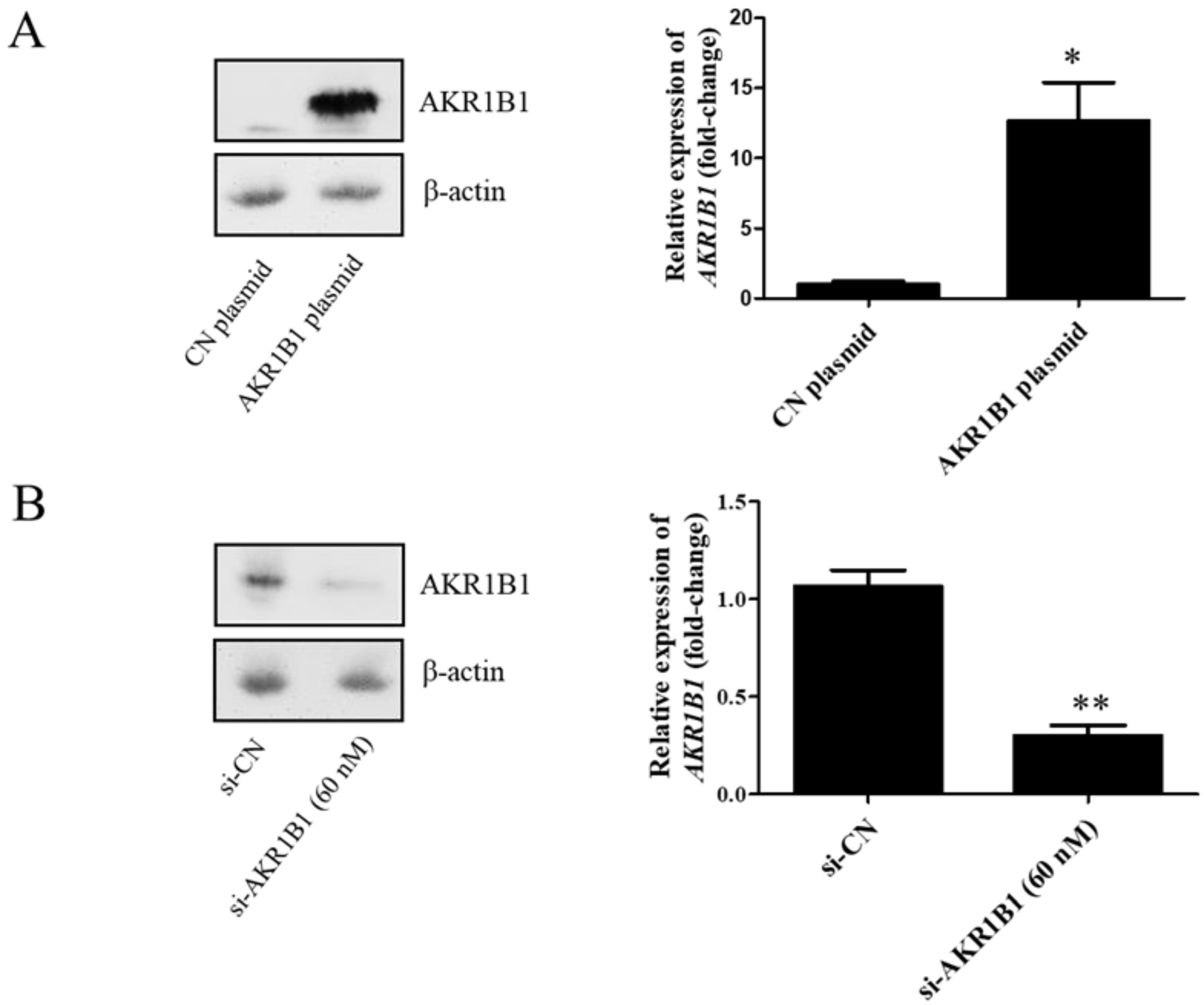 Cimb 45 00222 g002 Cimb 45 00222 g002