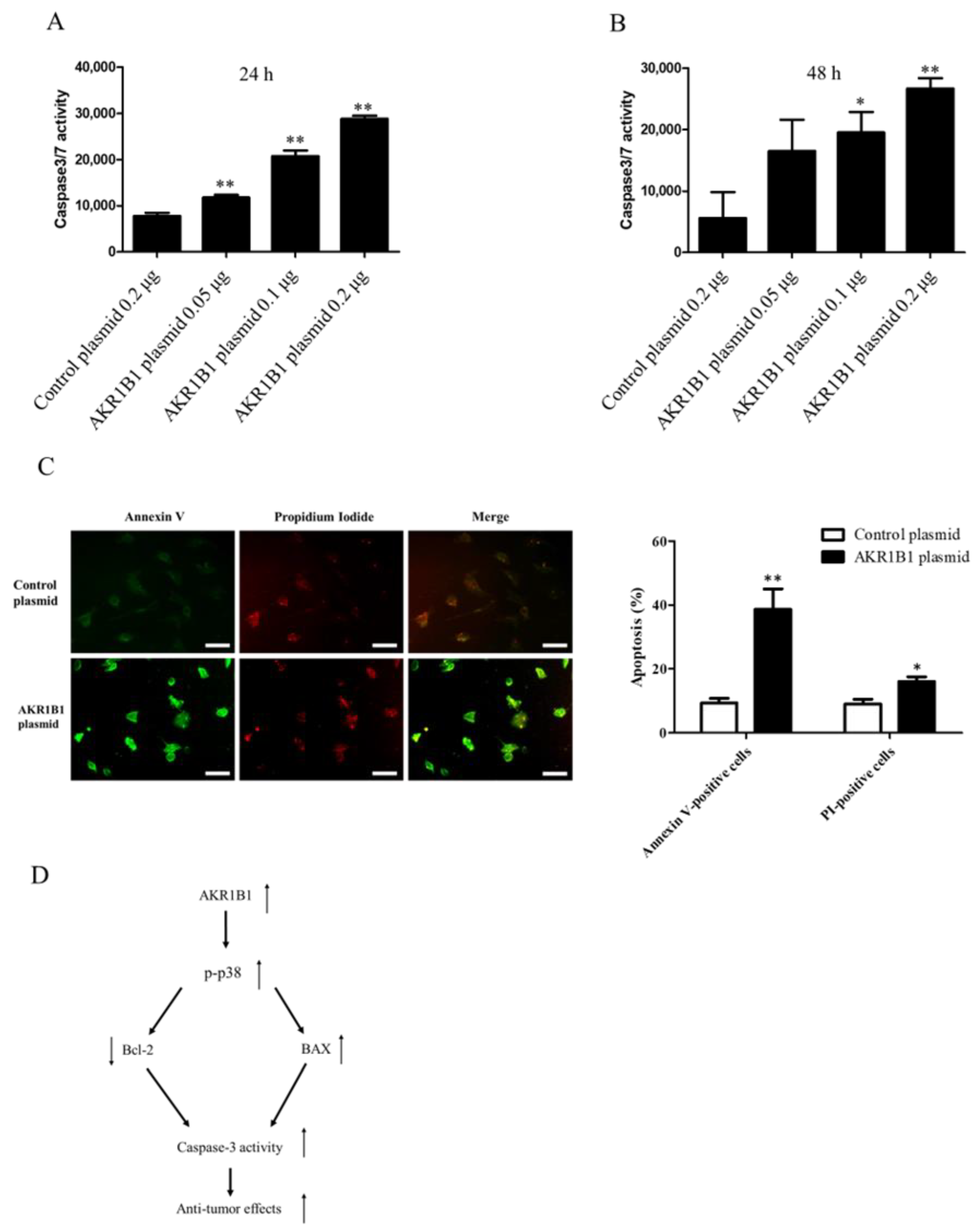 Cimb 45 00222 g006 Cimb 45 00222 g006