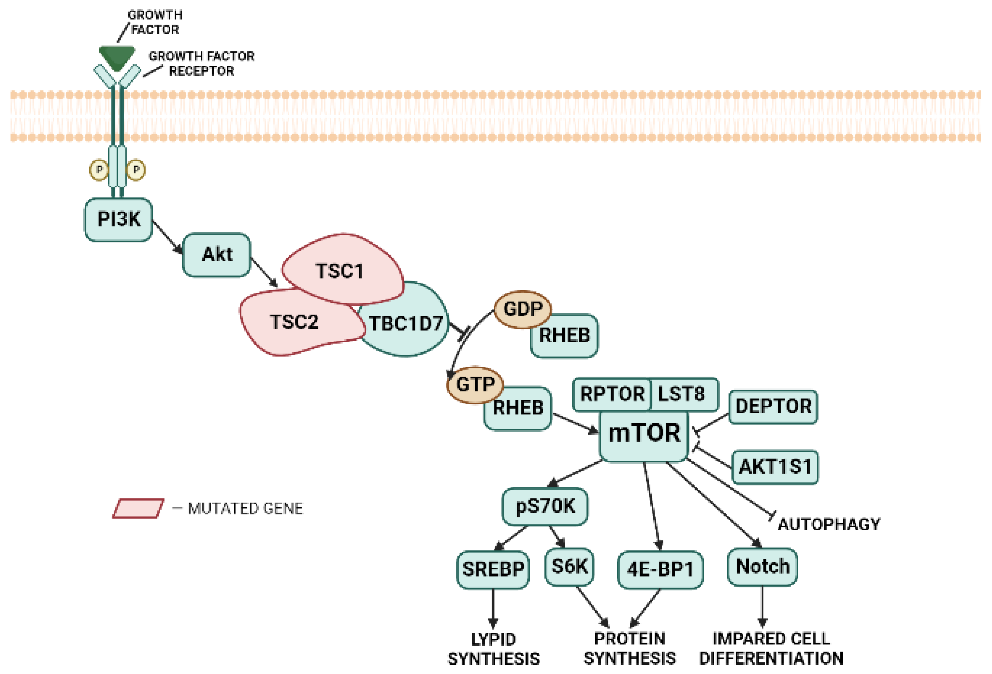 Frontiers  Genetic Evaluation of Growth and Survival-Related