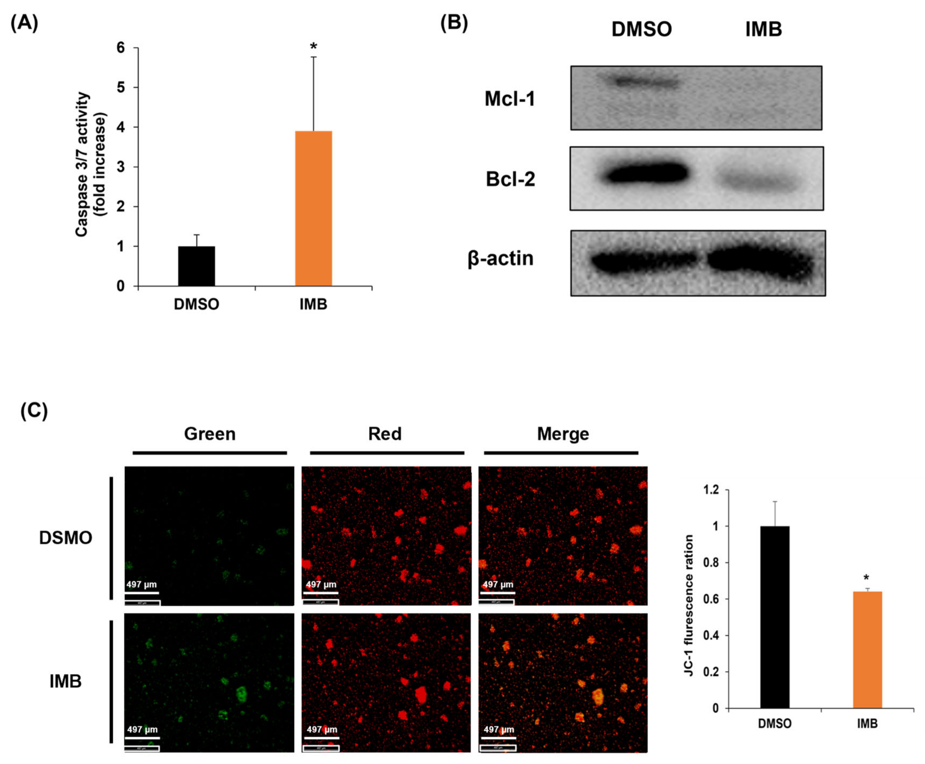 Cimb 45 00257 g003 Cimb 45 00257 g003