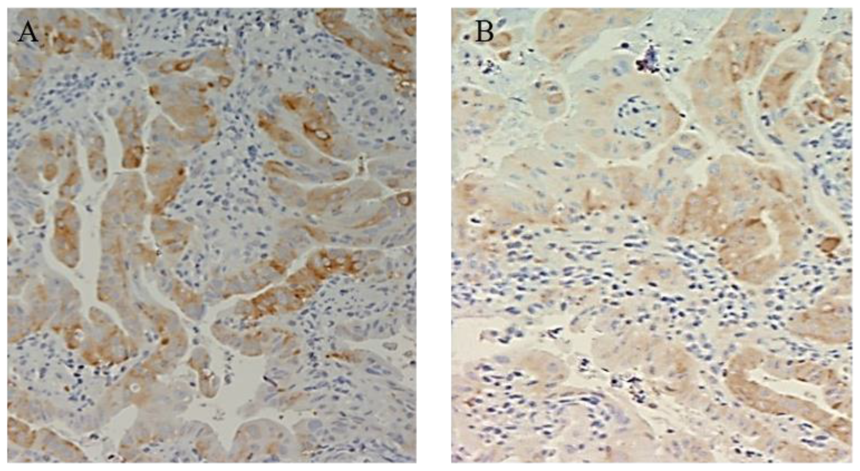 Cimb 45 00299 g003 Cimb 45 00299 g003