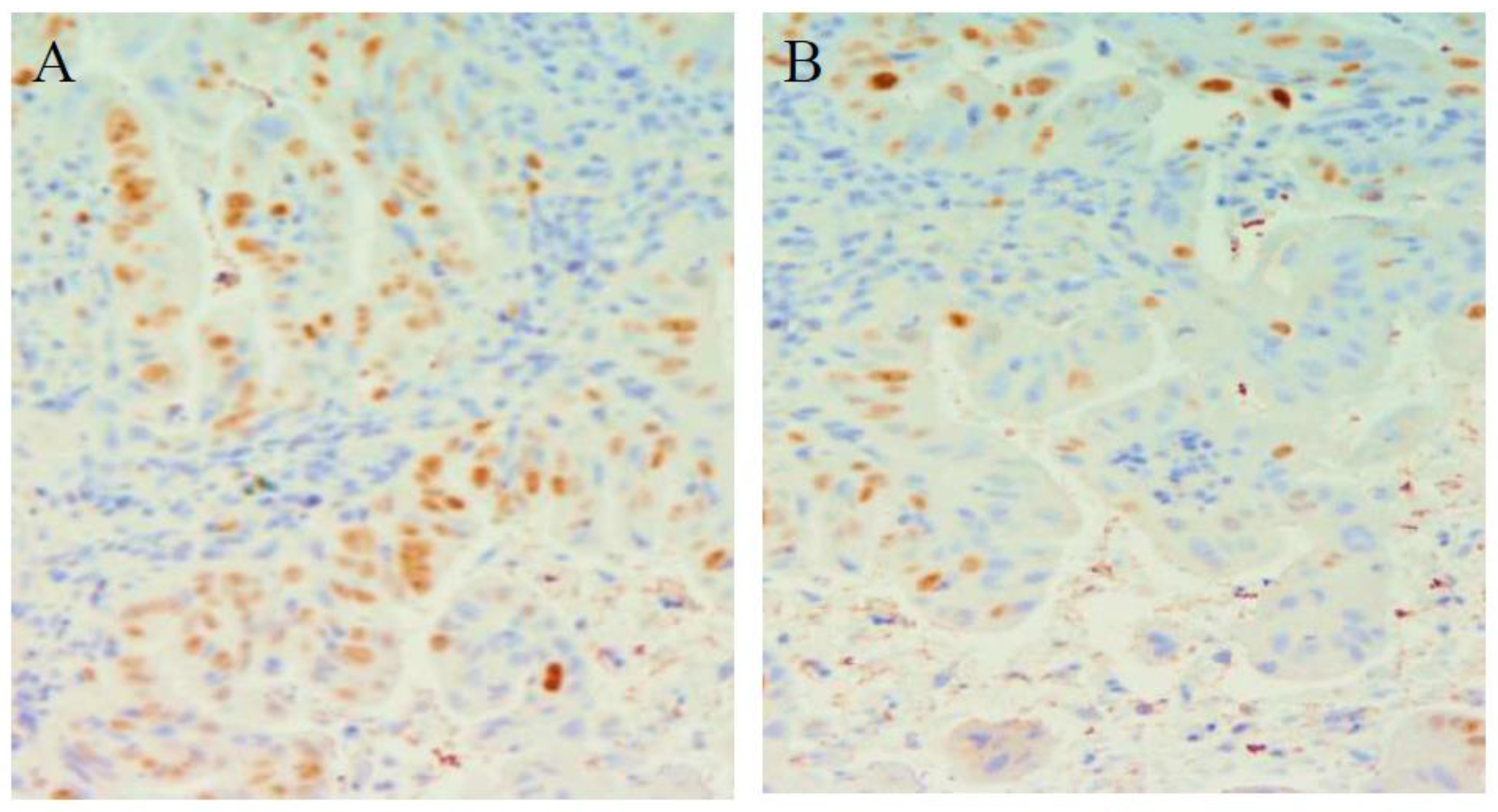 Cimb 45 00299 g005 Cimb 45 00299 g005