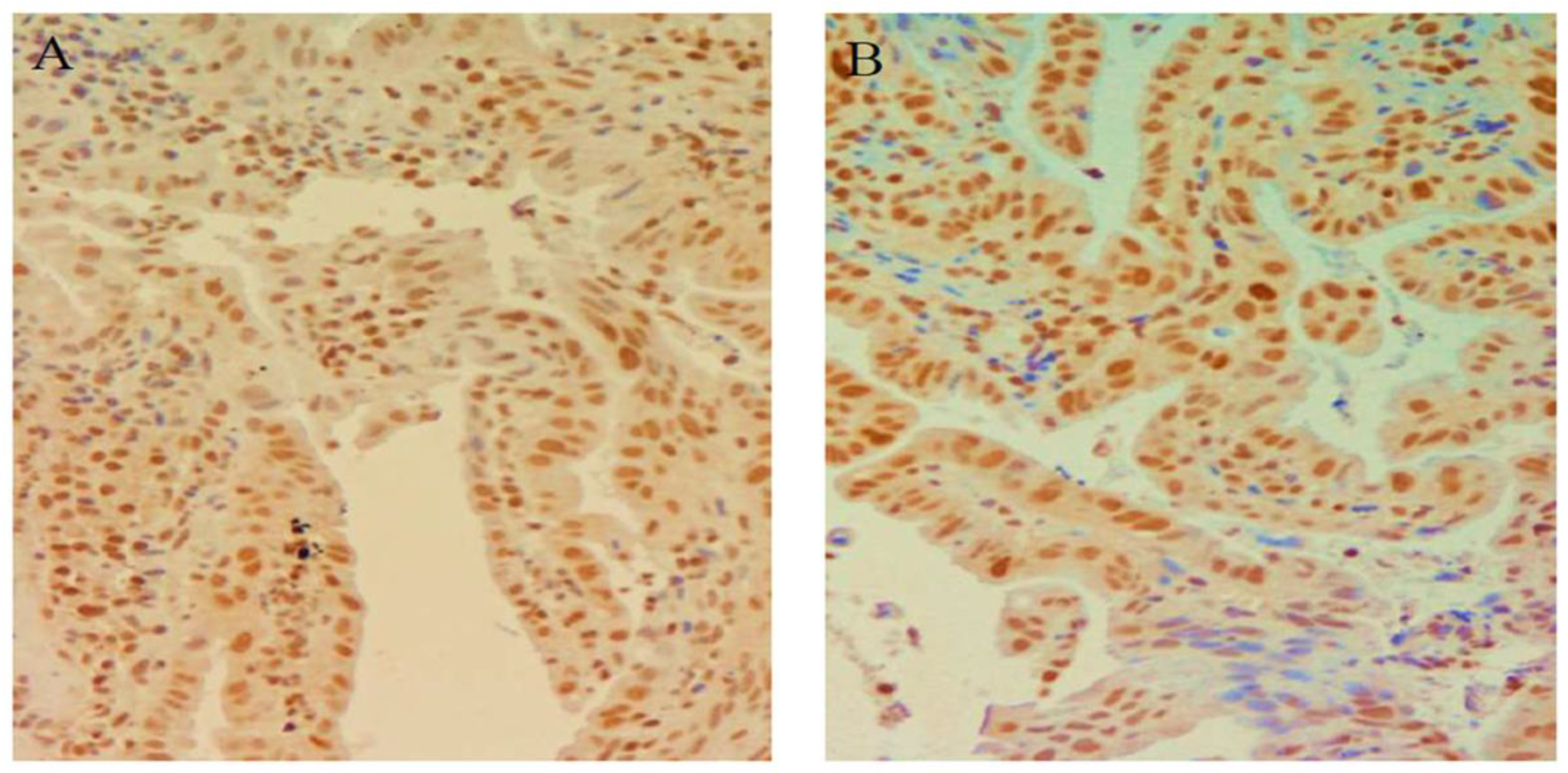 Cimb 45 00299 g007 Cimb 45 00299 g007