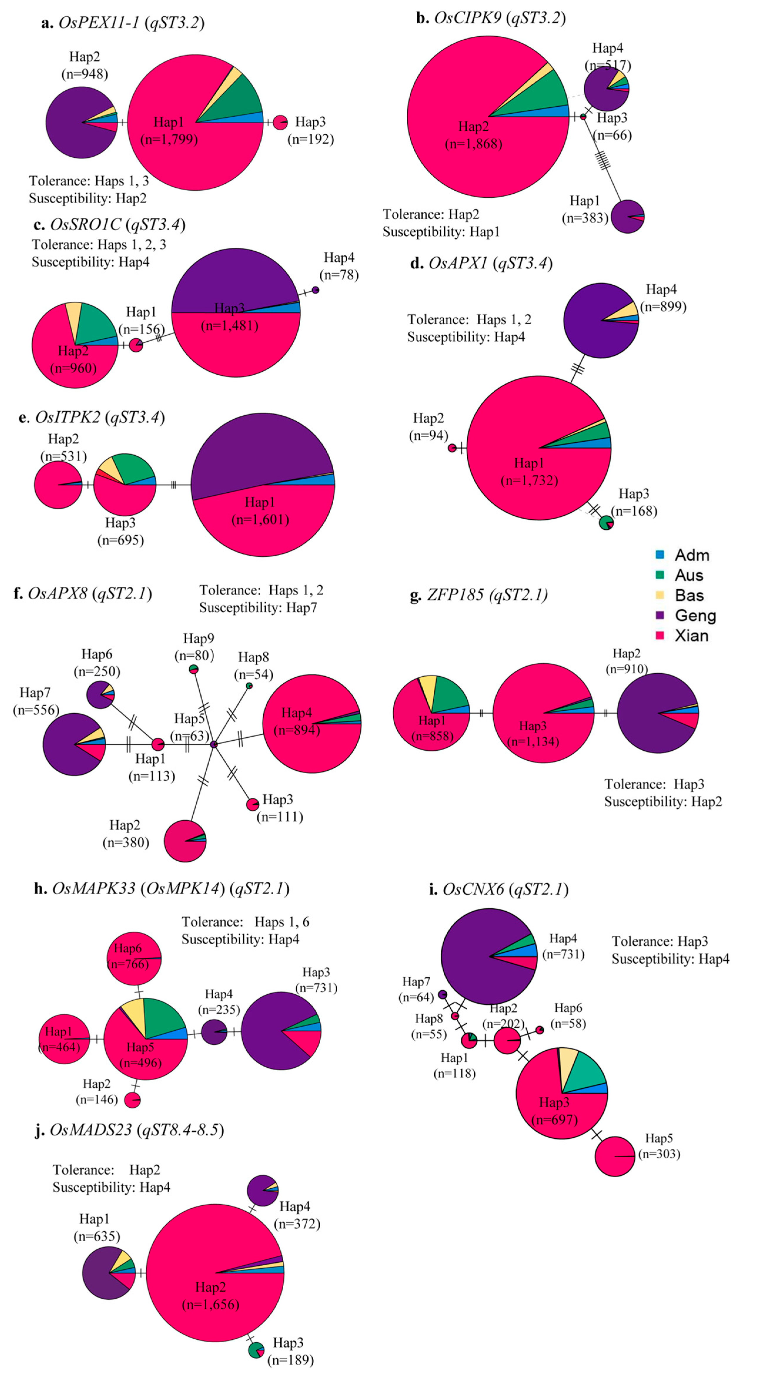 Cimb 45 00305 g002 Cimb 45 00305 g002