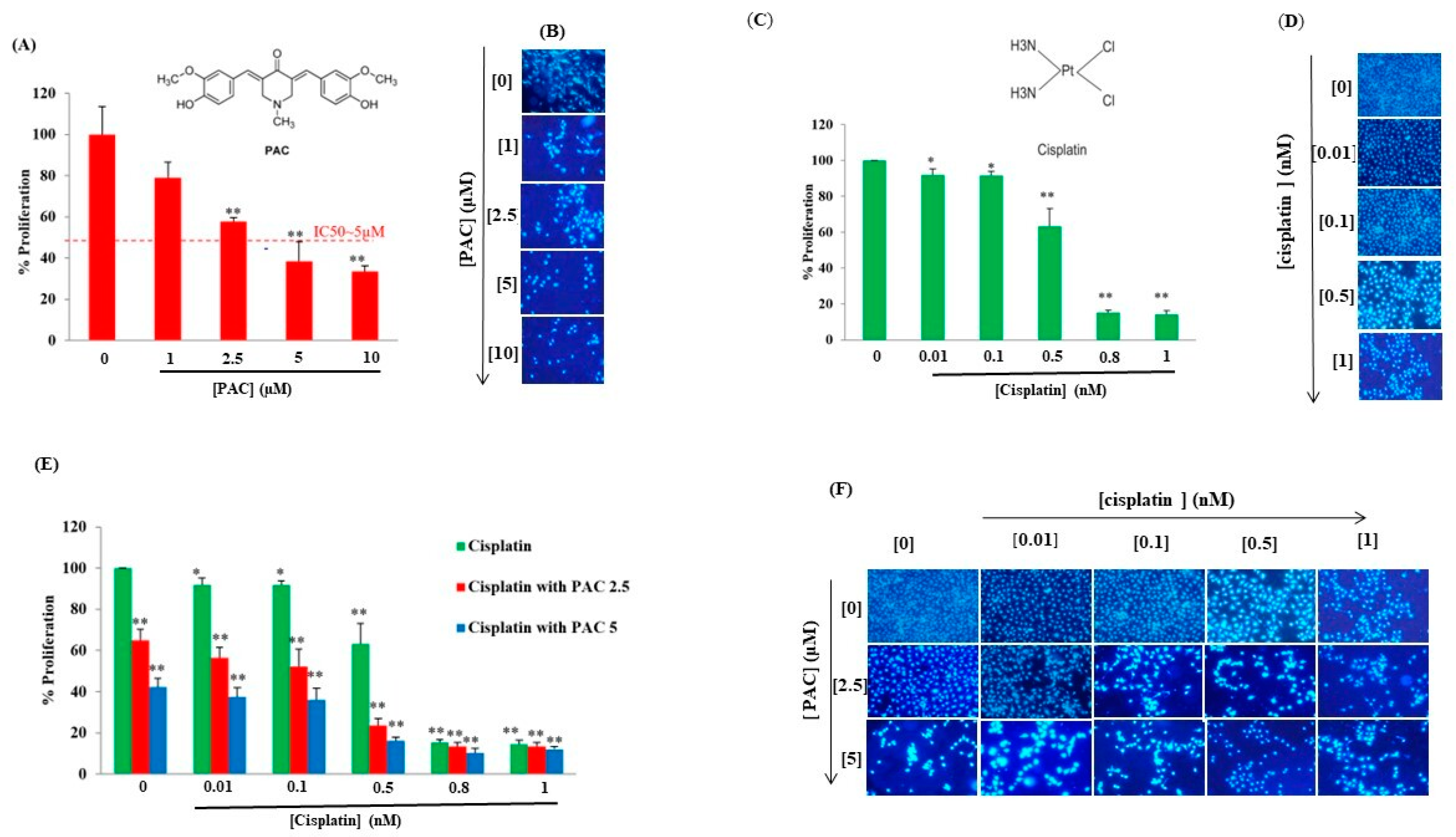 Cimb 45 00319 g001 Cimb 45 00319 g001