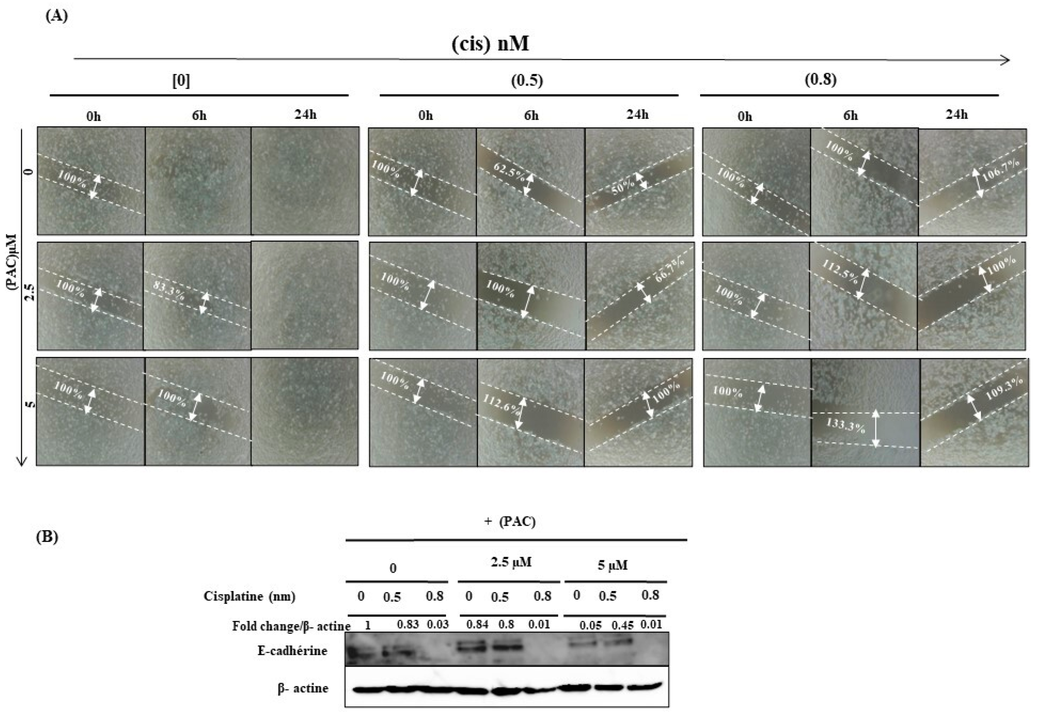 Cimb 45 00319 g008 Cimb 45 00319 g008