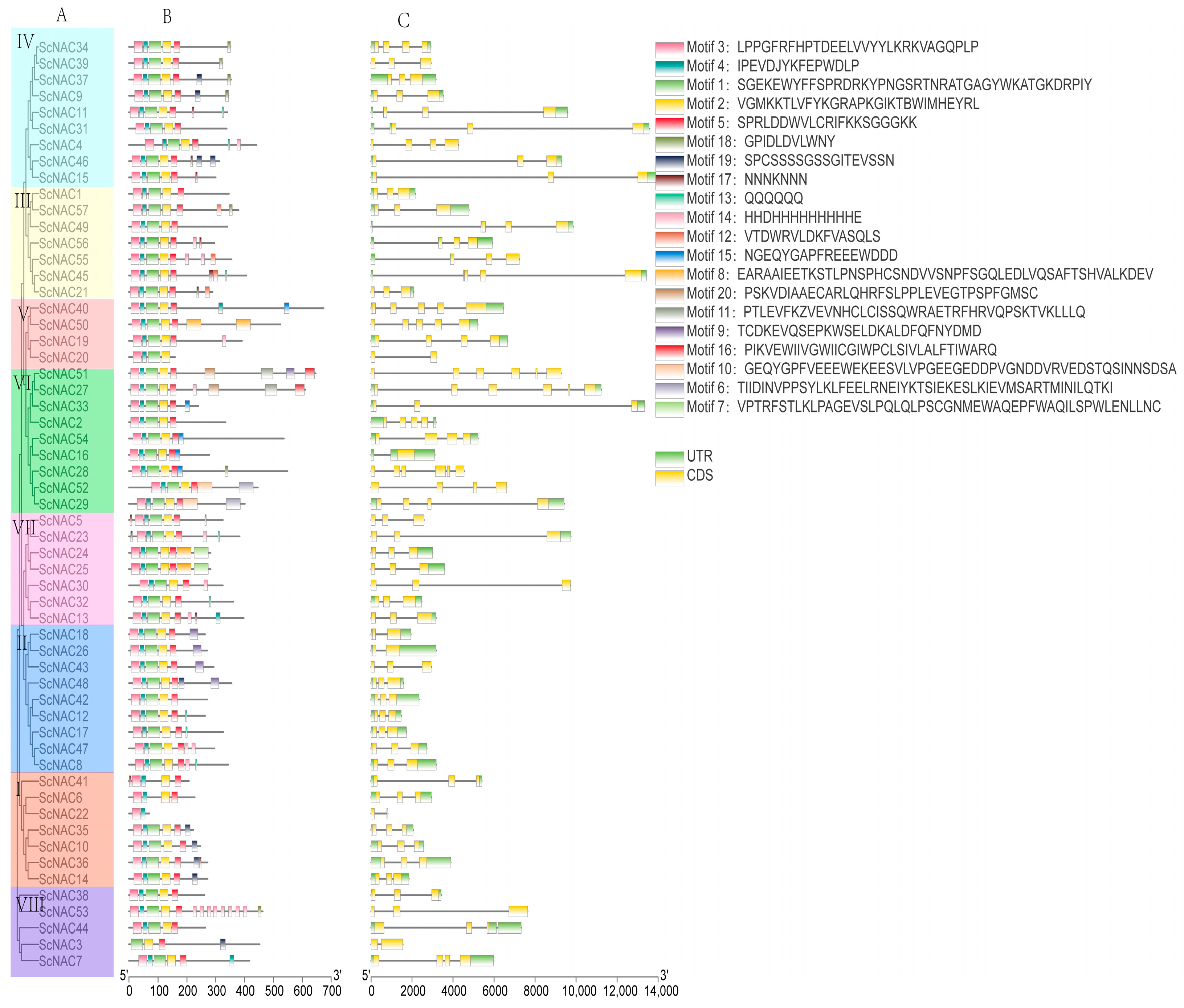 Cimb 45 00344 g002 Cimb 45 00344 g002
