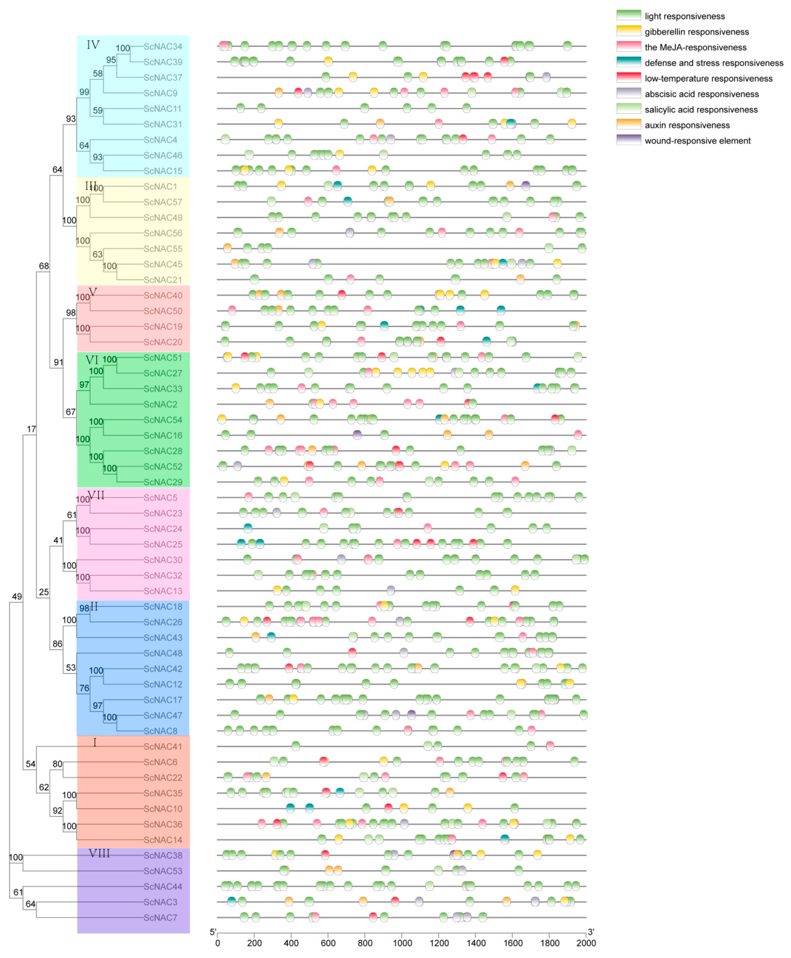 Cimb 45 00344 g003 Cimb 45 00344 g003