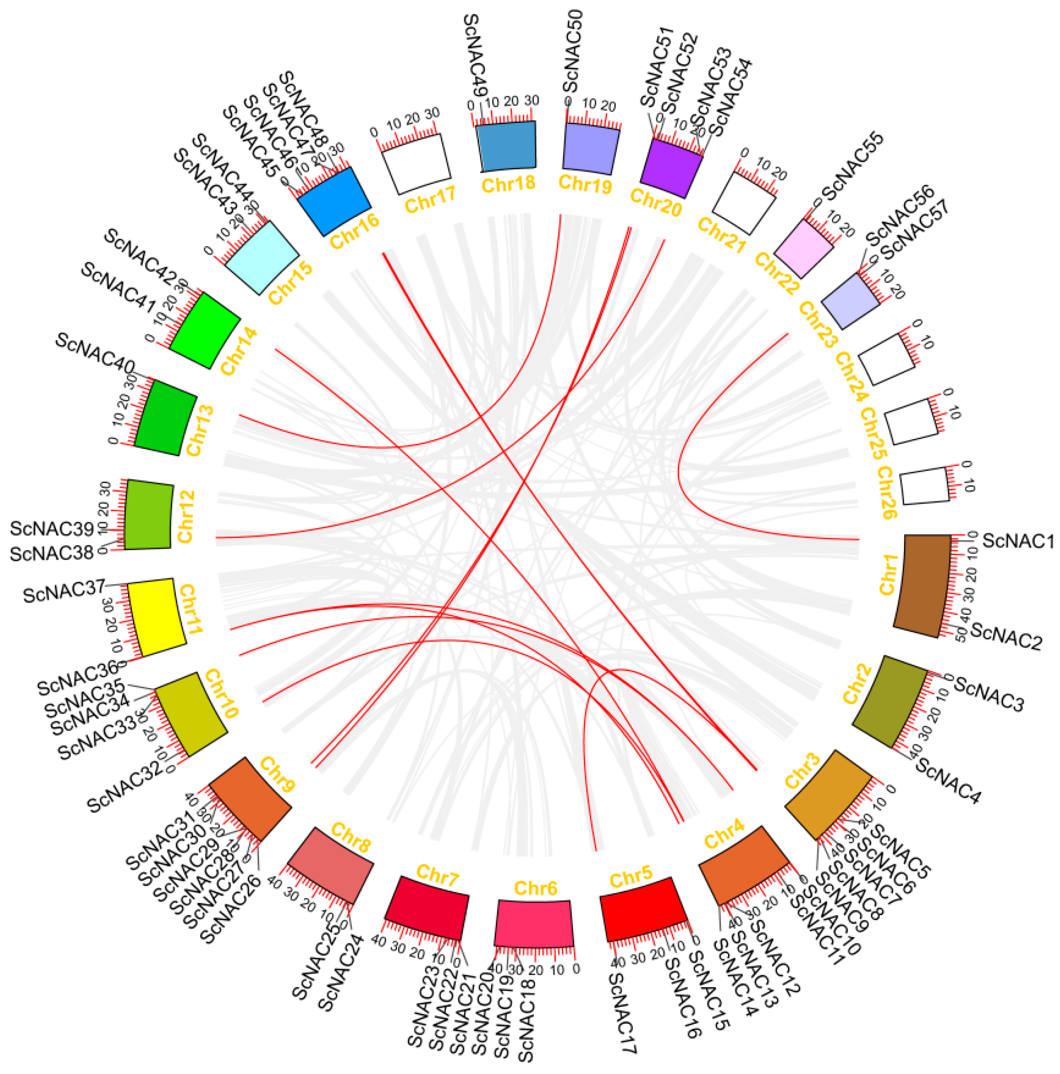 Cimb 45 00344 g004 Cimb 45 00344 g004