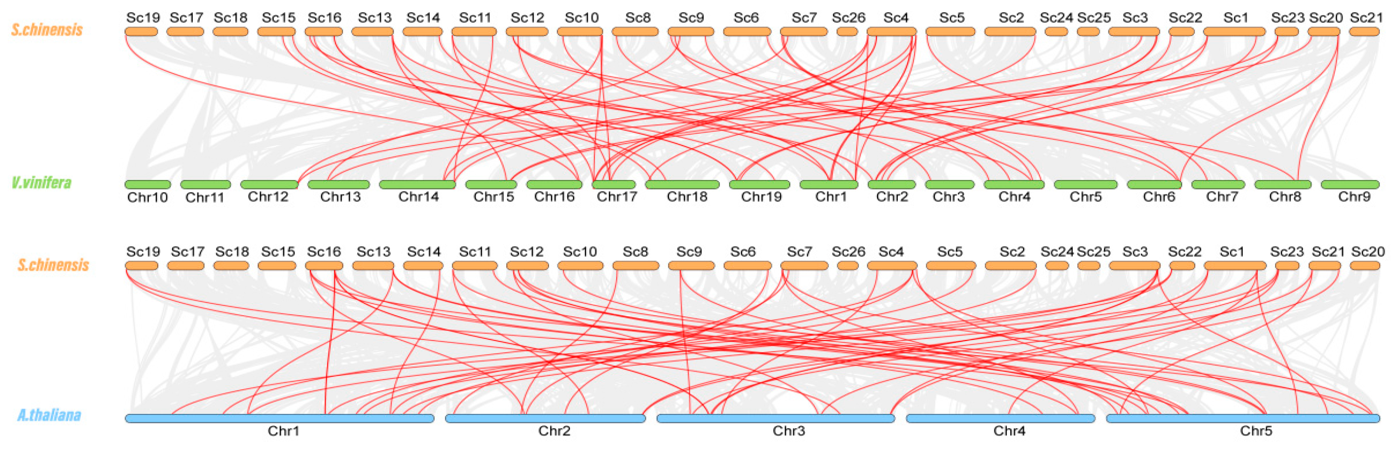 Cimb 45 00344 g005 Cimb 45 00344 g005