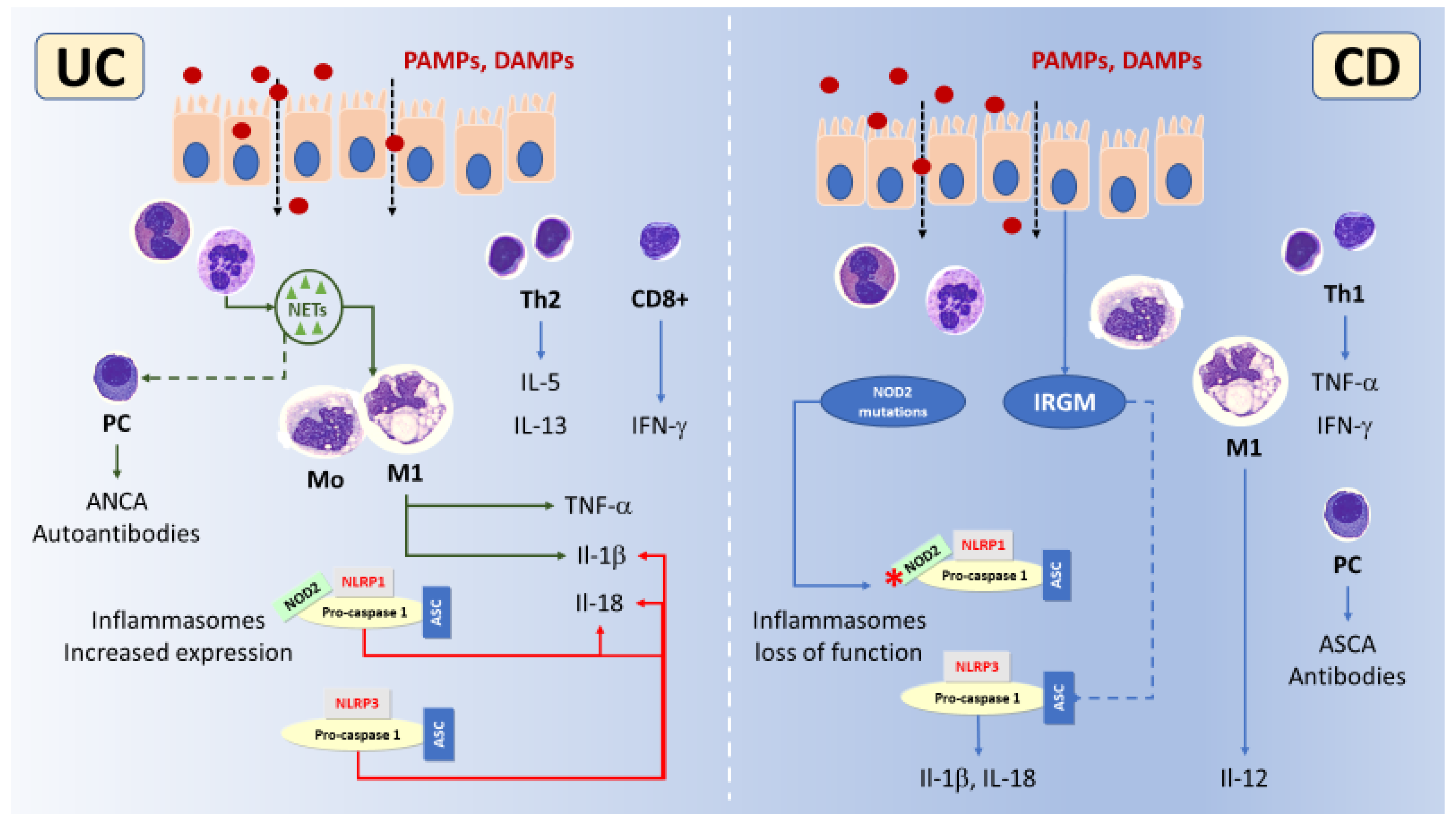 Cimb 45 00350 g001 Cimb 45 00350 g001