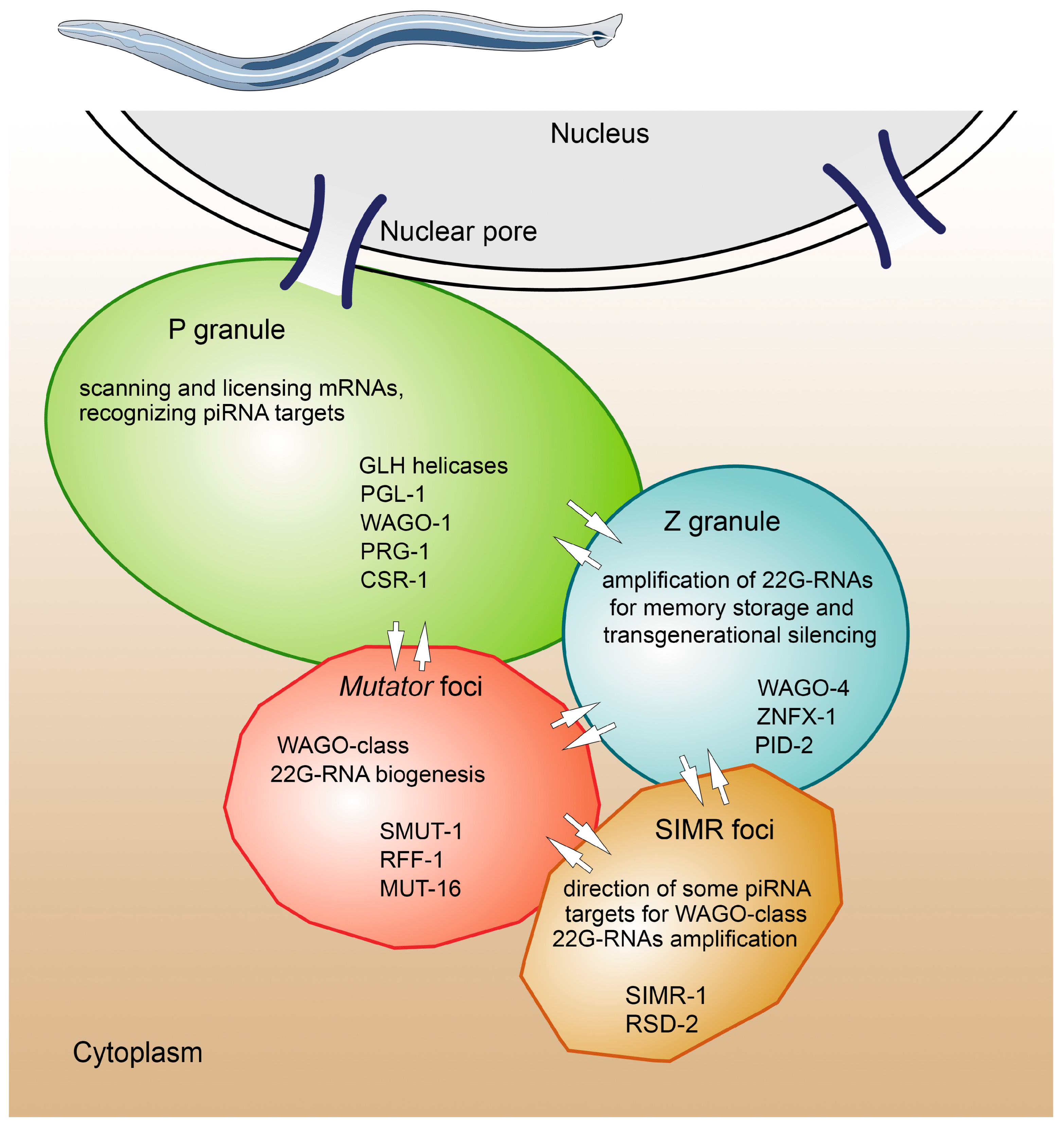 Cimb 45 00358 g003 Cimb 45 00358 g003