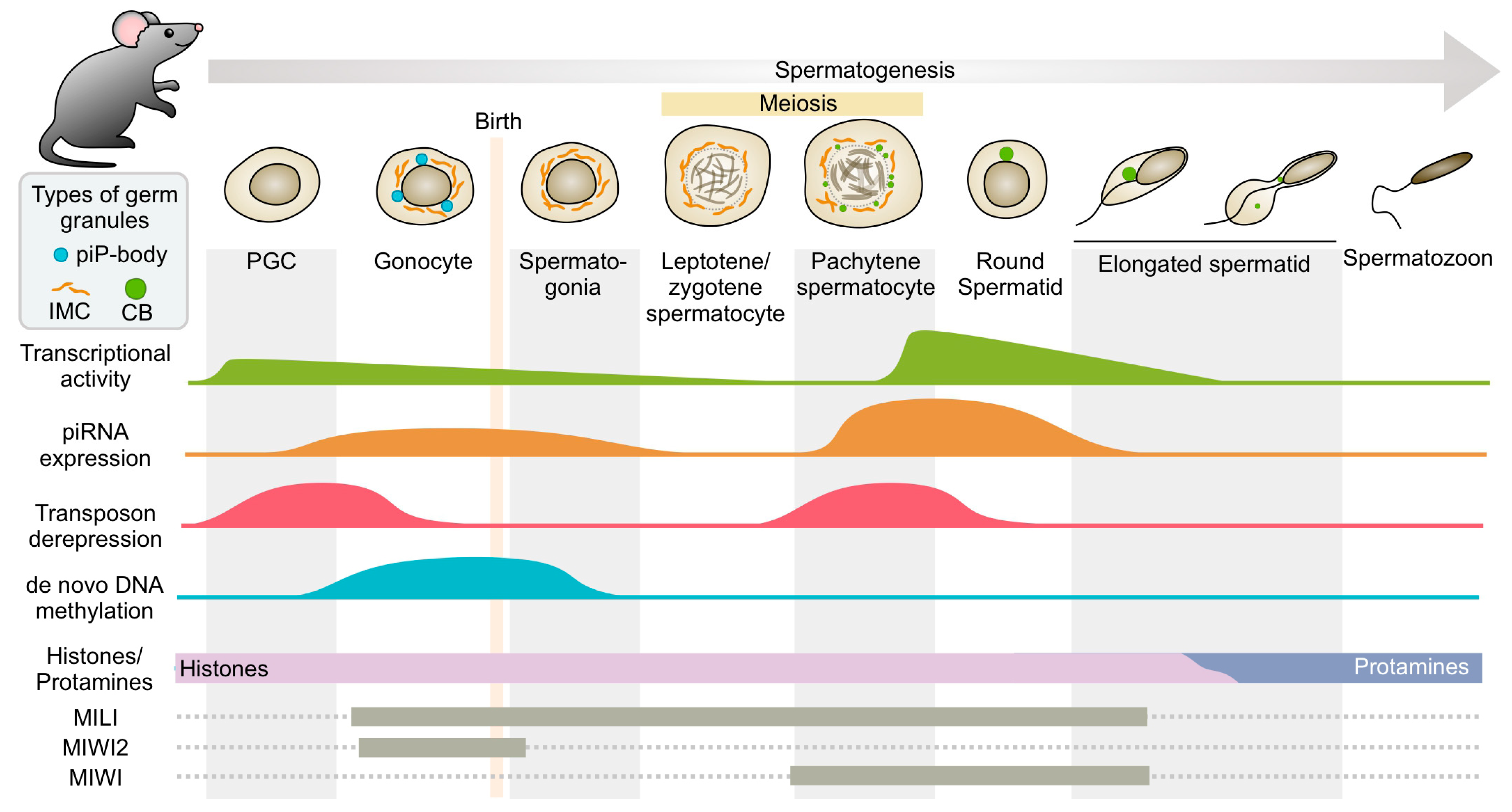Cimb 45 00358 g004 Cimb 45 00358 g004