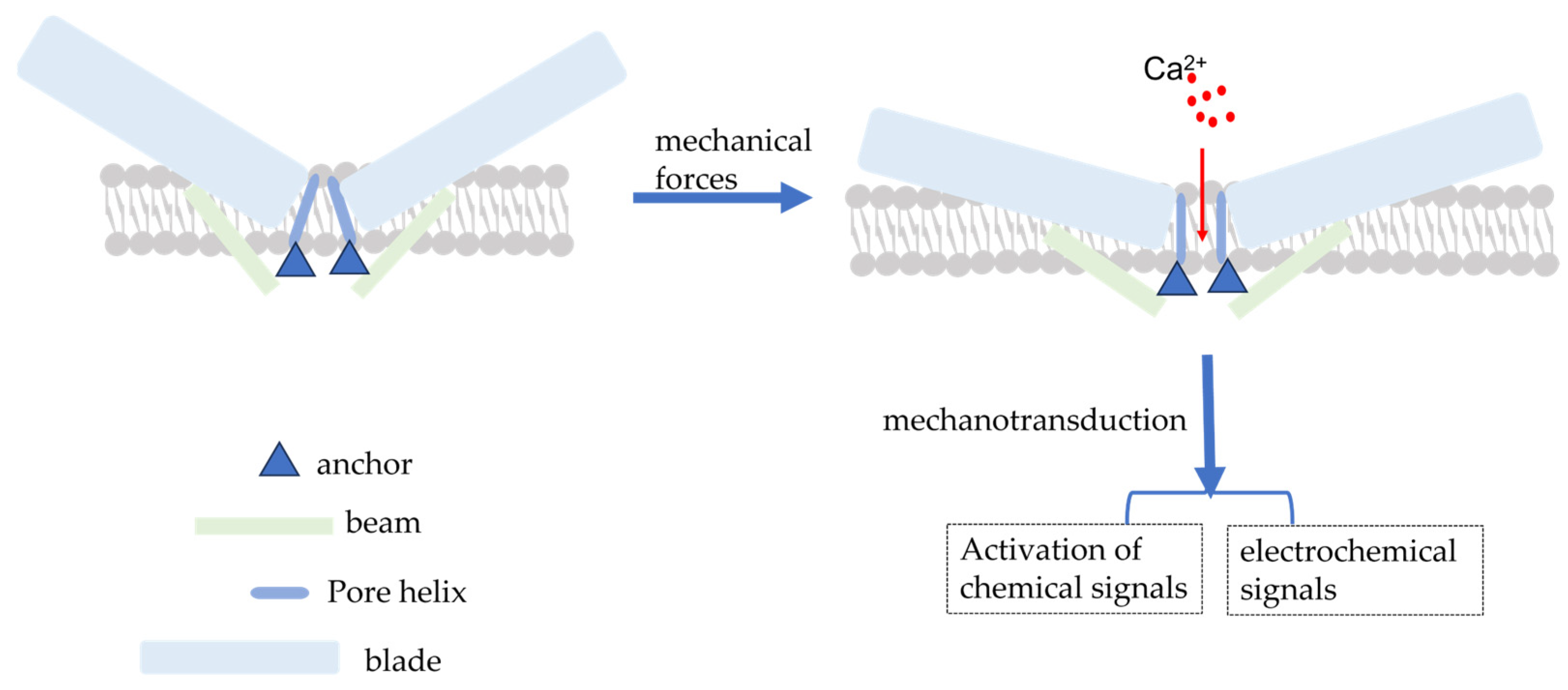 Cimb 45 00369 g001 Cimb 45 00369 g001
