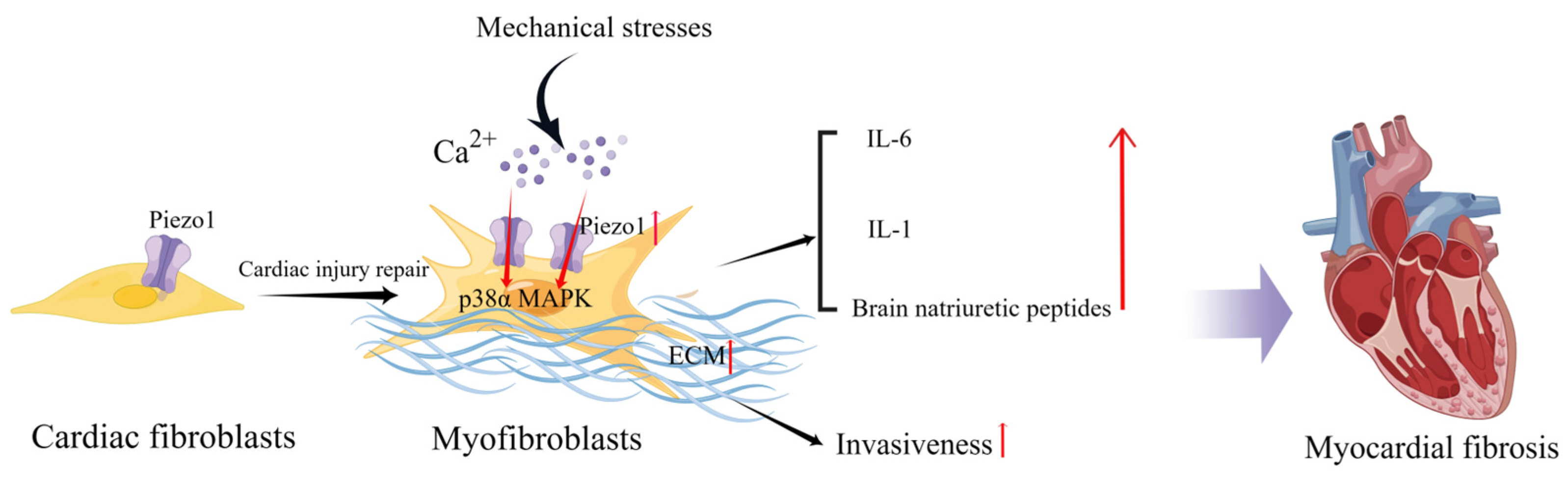 Cimb 45 00369 g002 Cimb 45 00369 g002