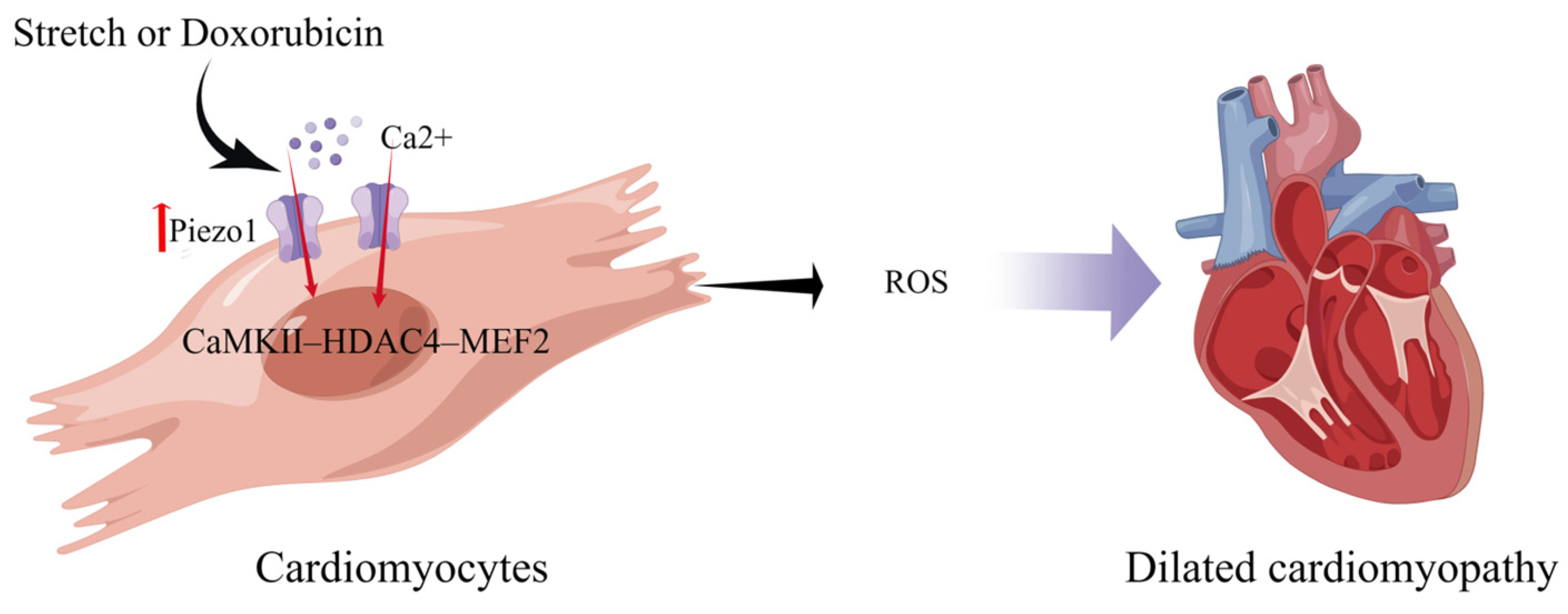 Cimb 45 00369 g003 Cimb 45 00369 g003
