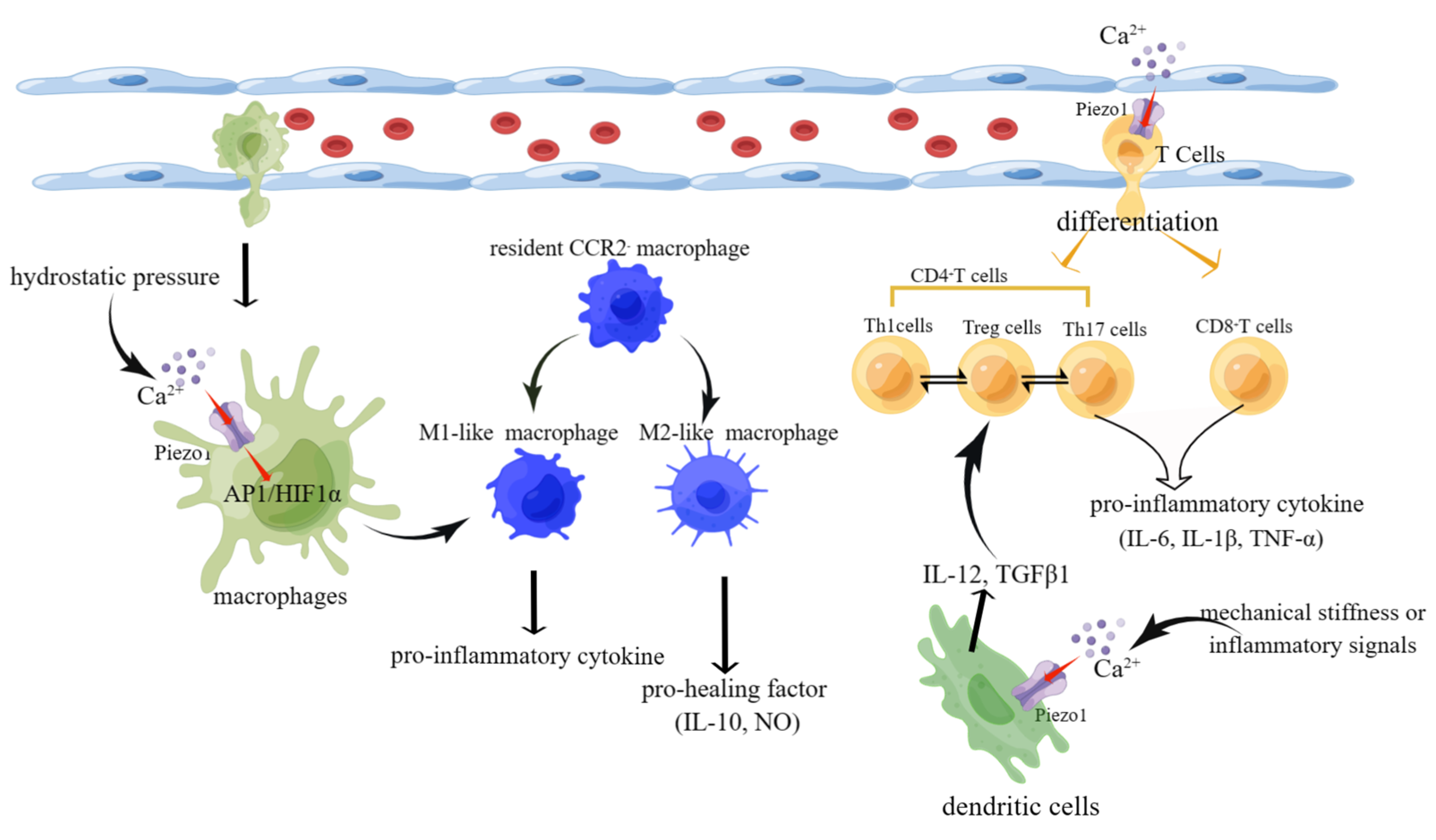 Cimb 45 00369 g005 Cimb 45 00369 g005