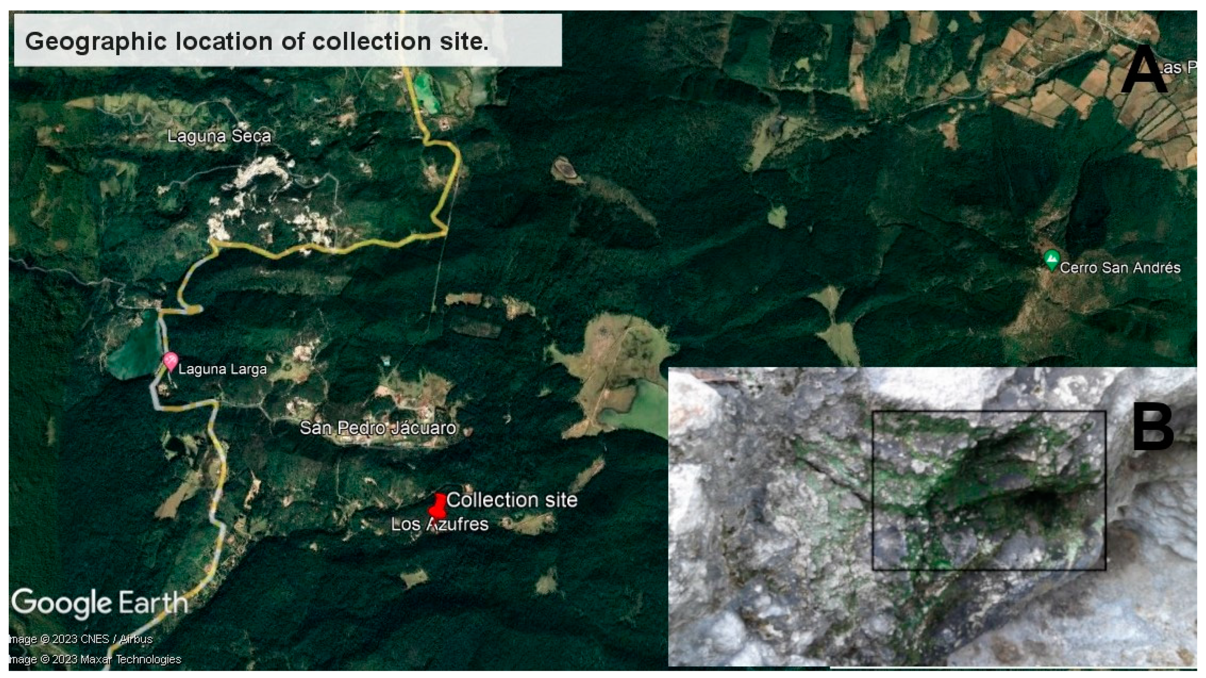 Cimb 45 00370 g001 Cimb 45 00370 g001