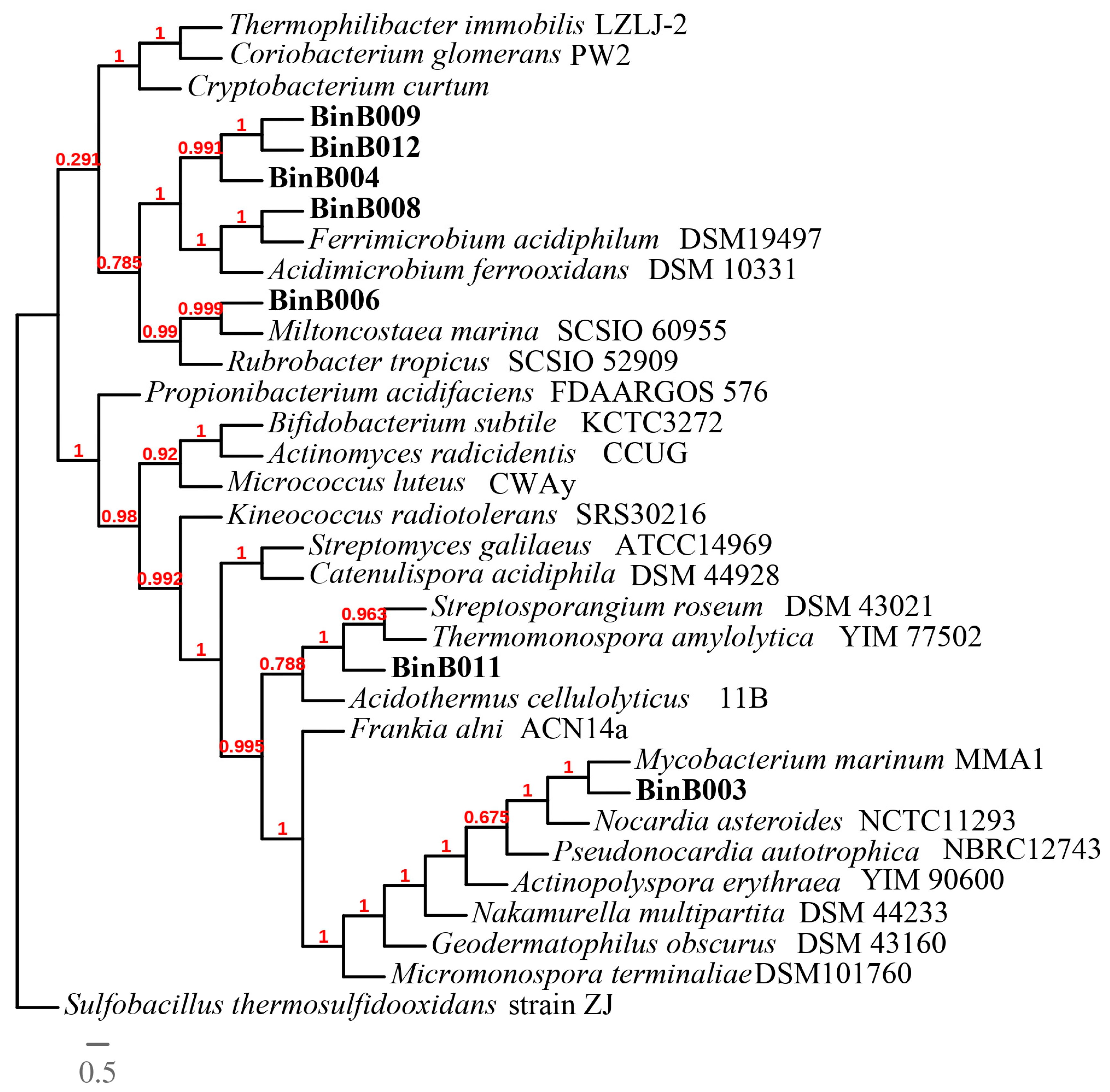 Cimb 45 00370 g005 Cimb 45 00370 g005