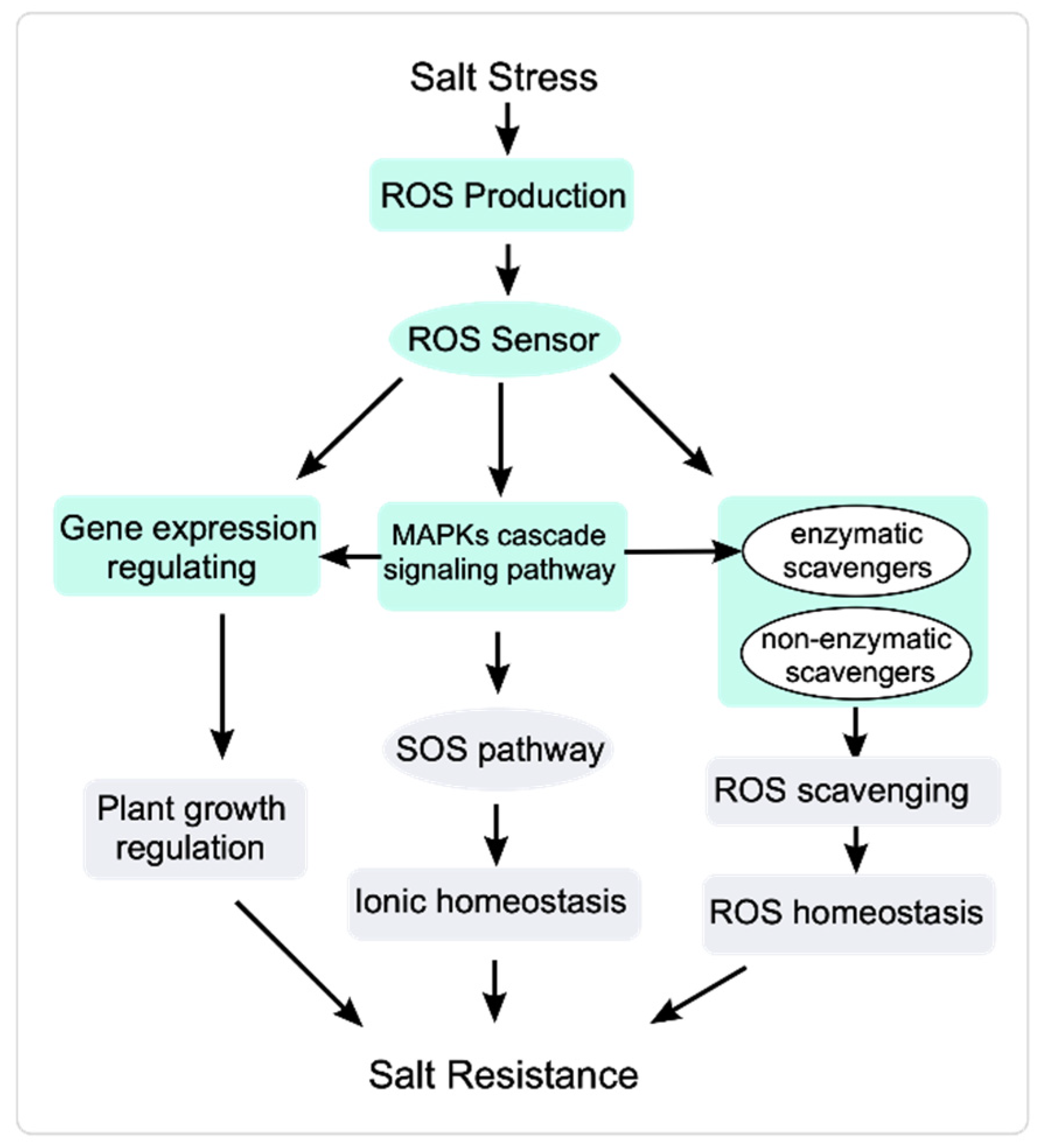 Cimb 45 00374 g002 Cimb 45 00374 g002
