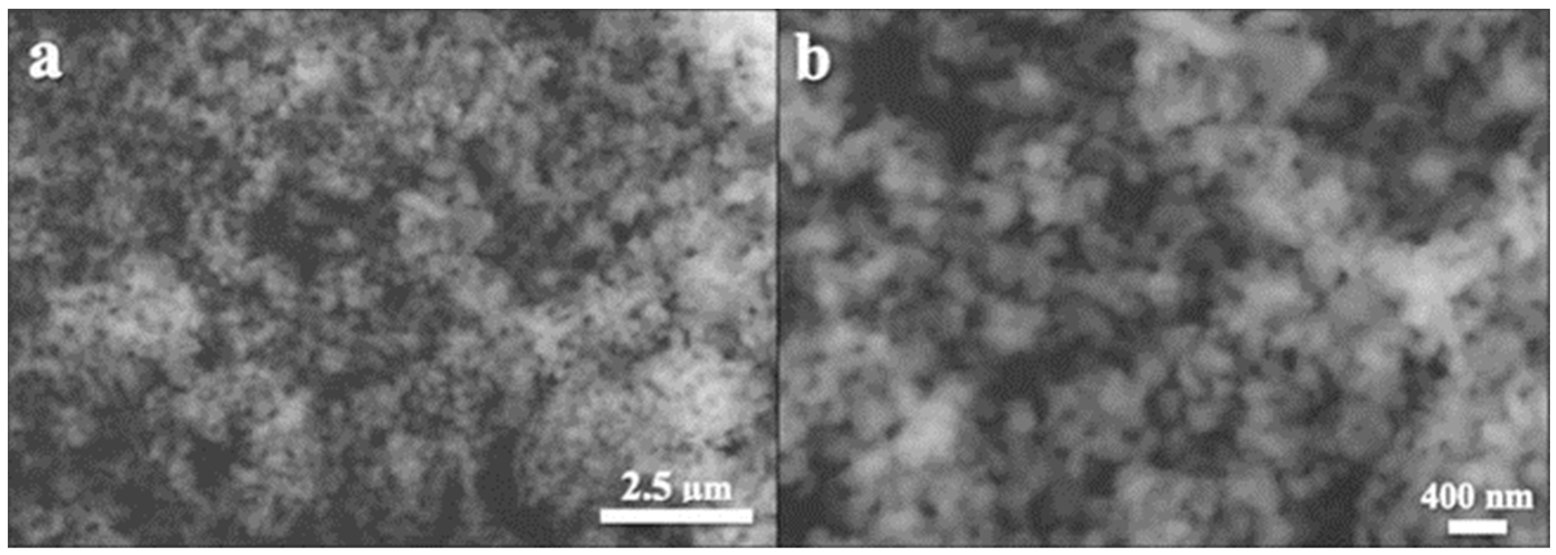 Cimb 45 00377 g003 Cimb 45 00377 g003