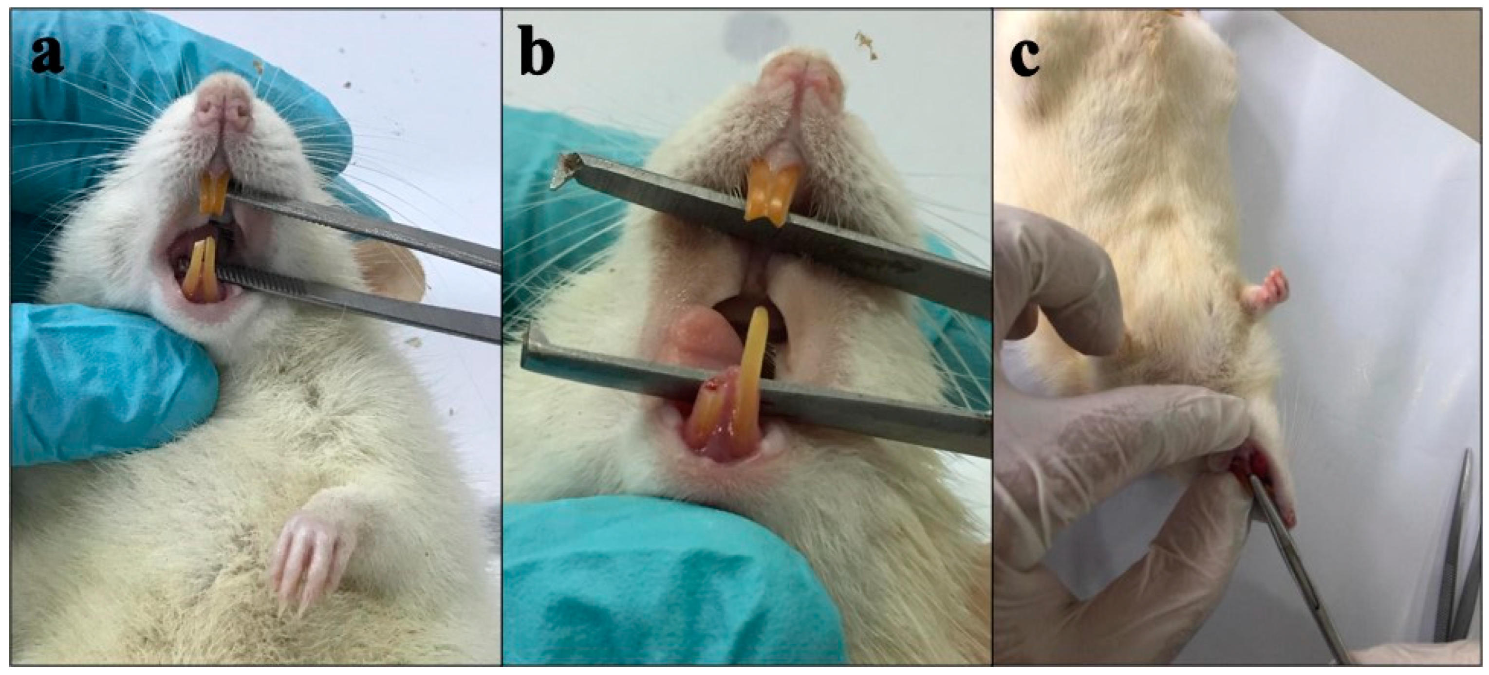 Cimb 45 00377 g005 Cimb 45 00377 g005