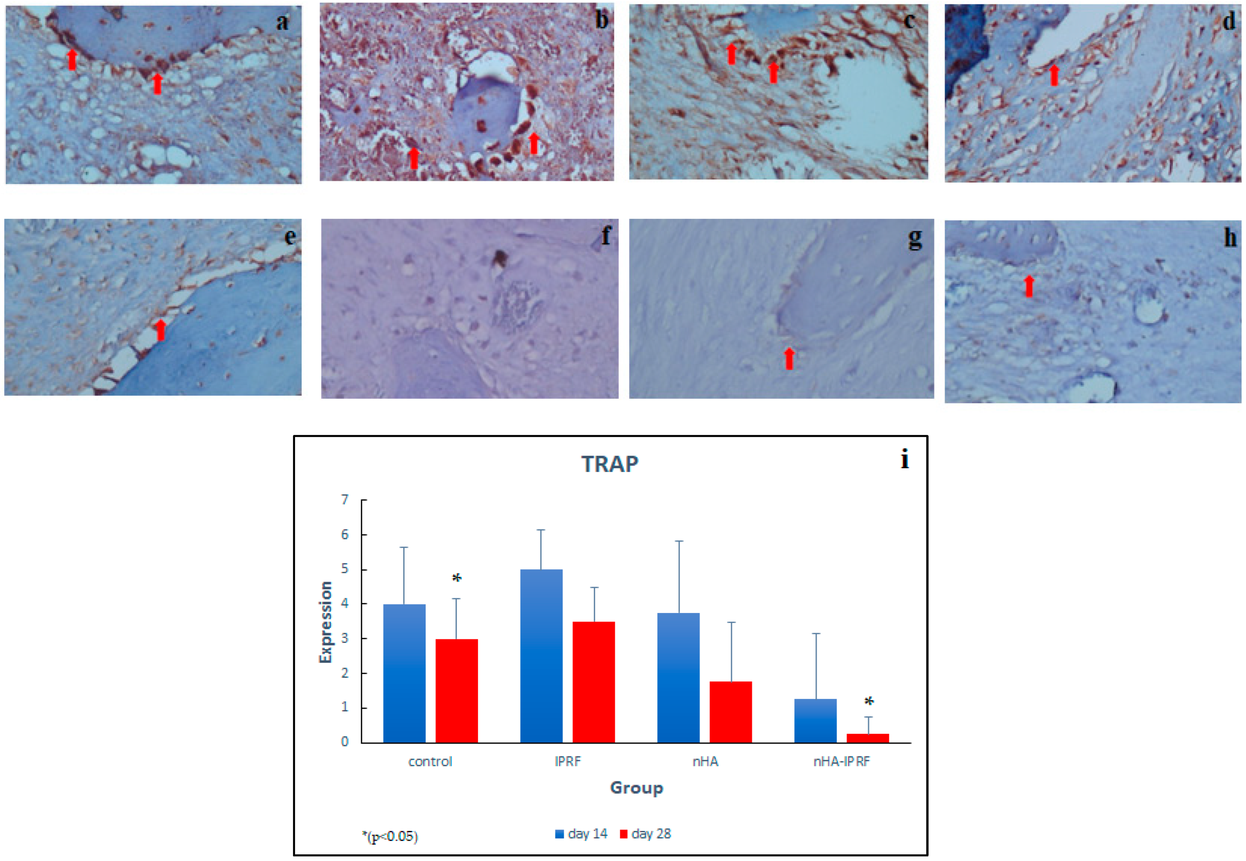Cimb 45 00377 g007 Cimb 45 00377 g007