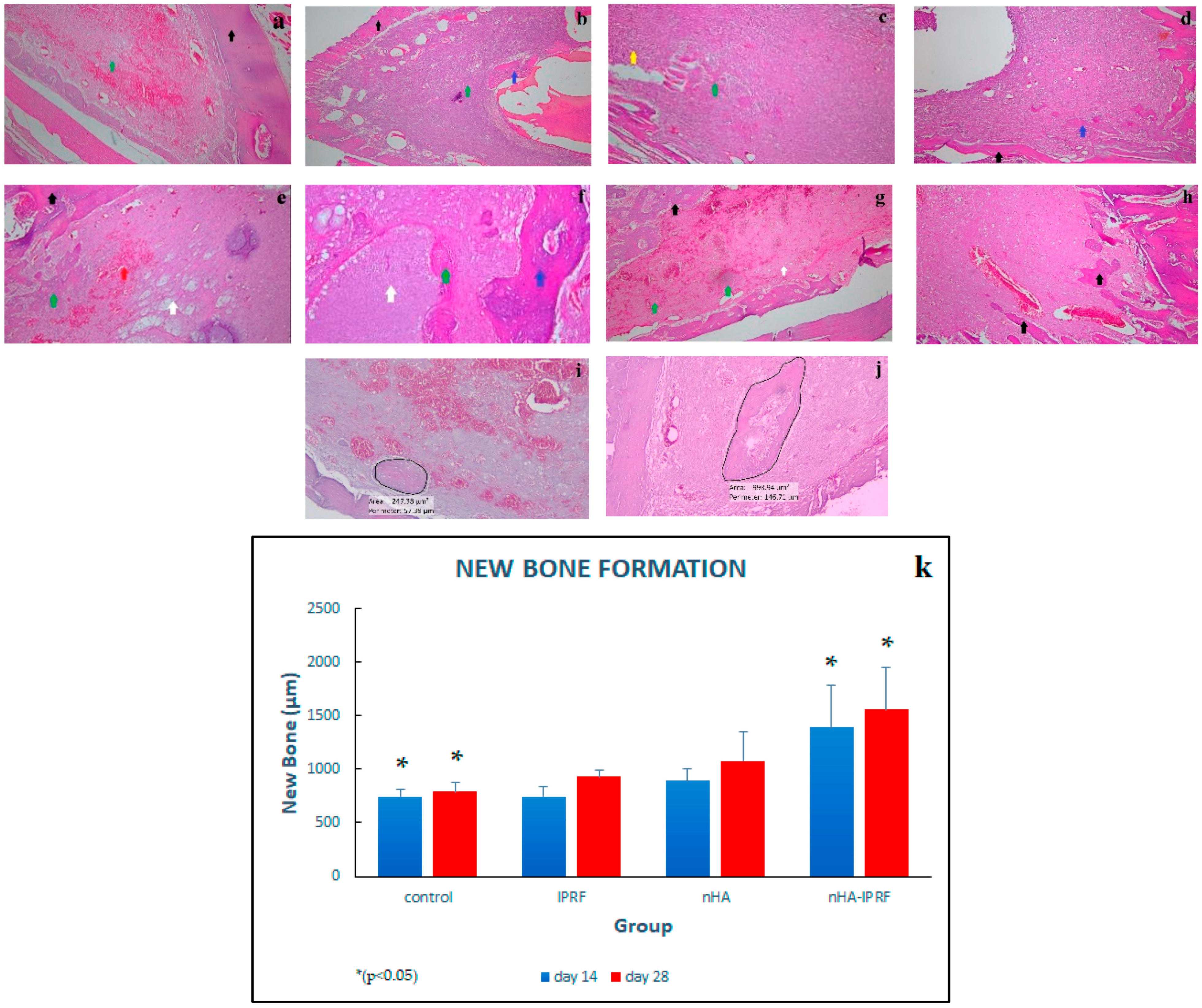 Cimb 45 00377 g010 Cimb 45 00377 g010