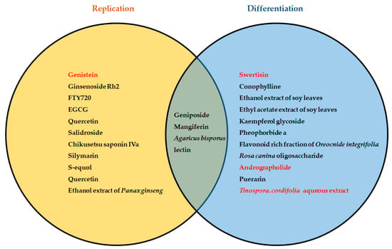 Pancreatic β cell regeneration induced by clinical and preclinical agents