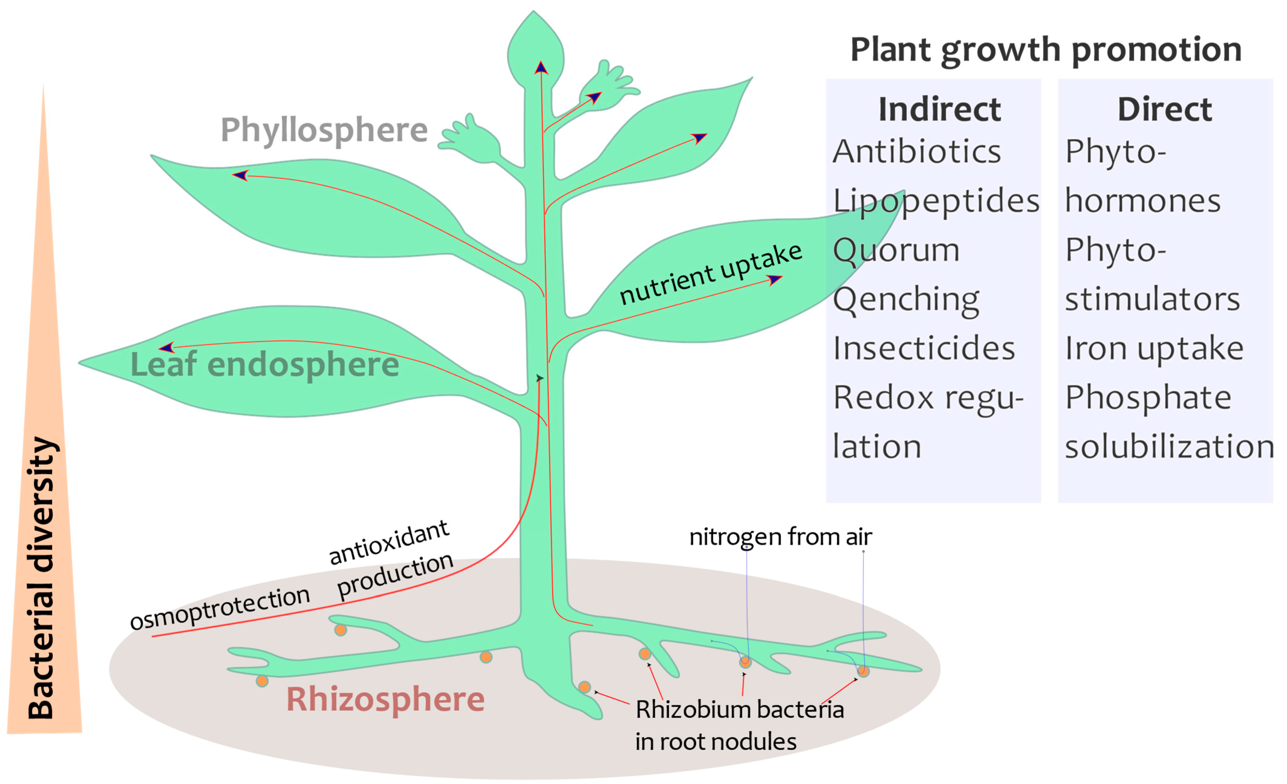 Cimb 45 00398 g001 Cimb 45 00398 g001