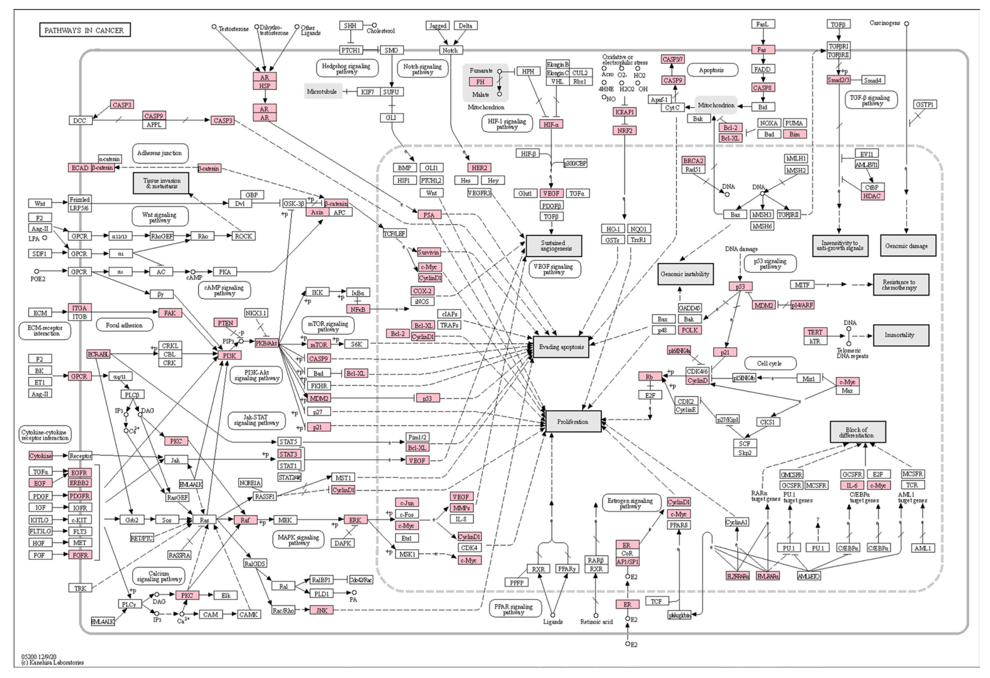 Cimb 45 00414 g007 Cimb 45 00414 g007