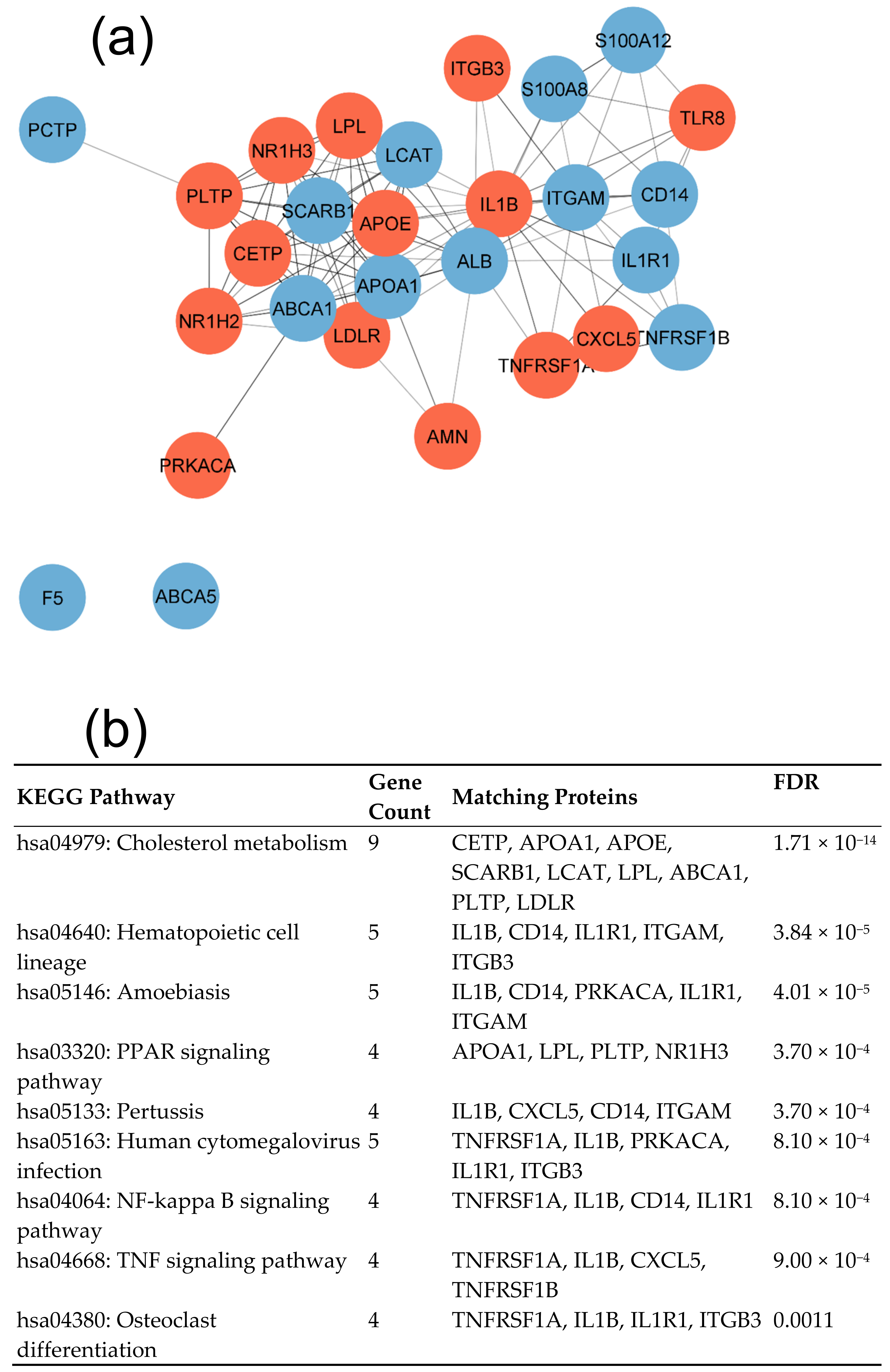Cimb 45 00431 g002a Cimb 45 00431 g002a