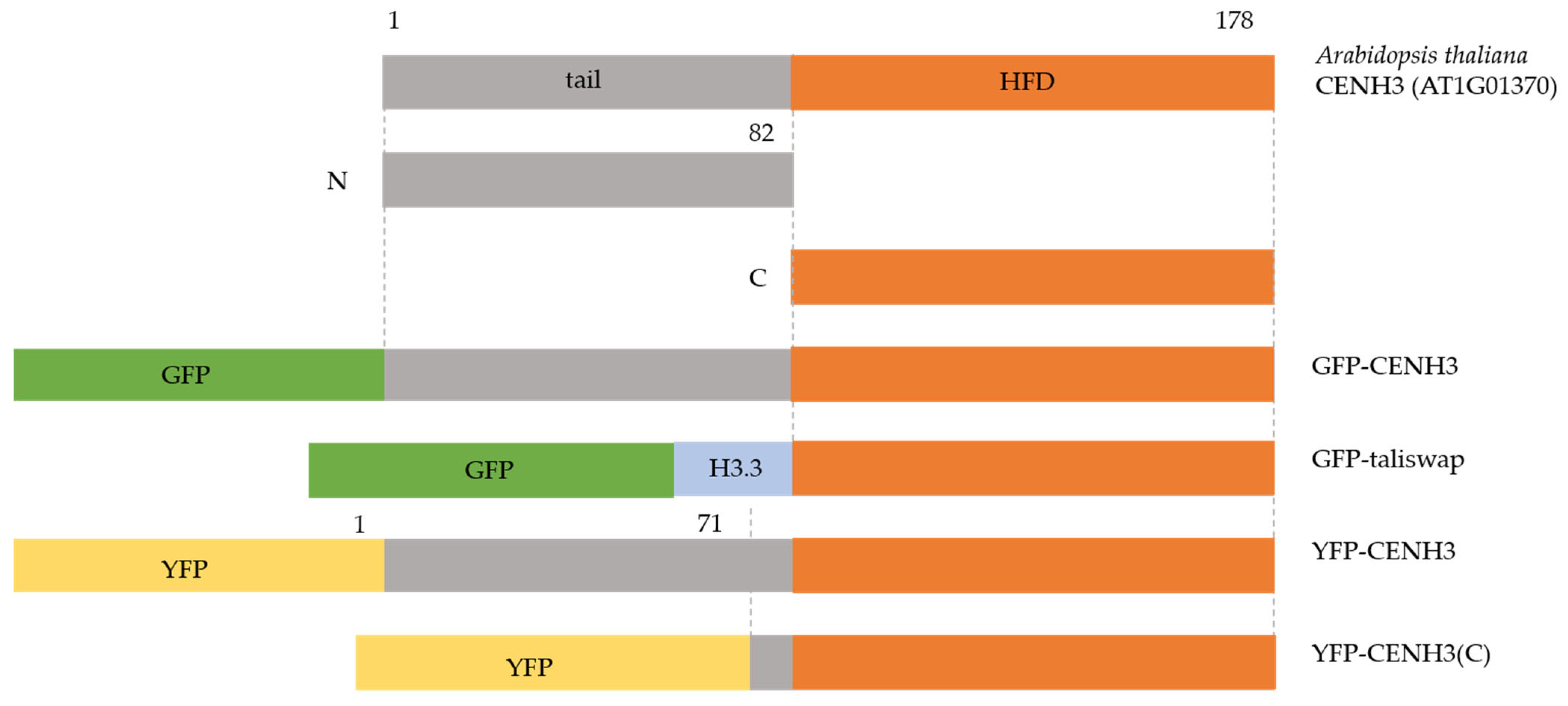 Cimb 45 00504 g003 Cimb 45 00504 g003